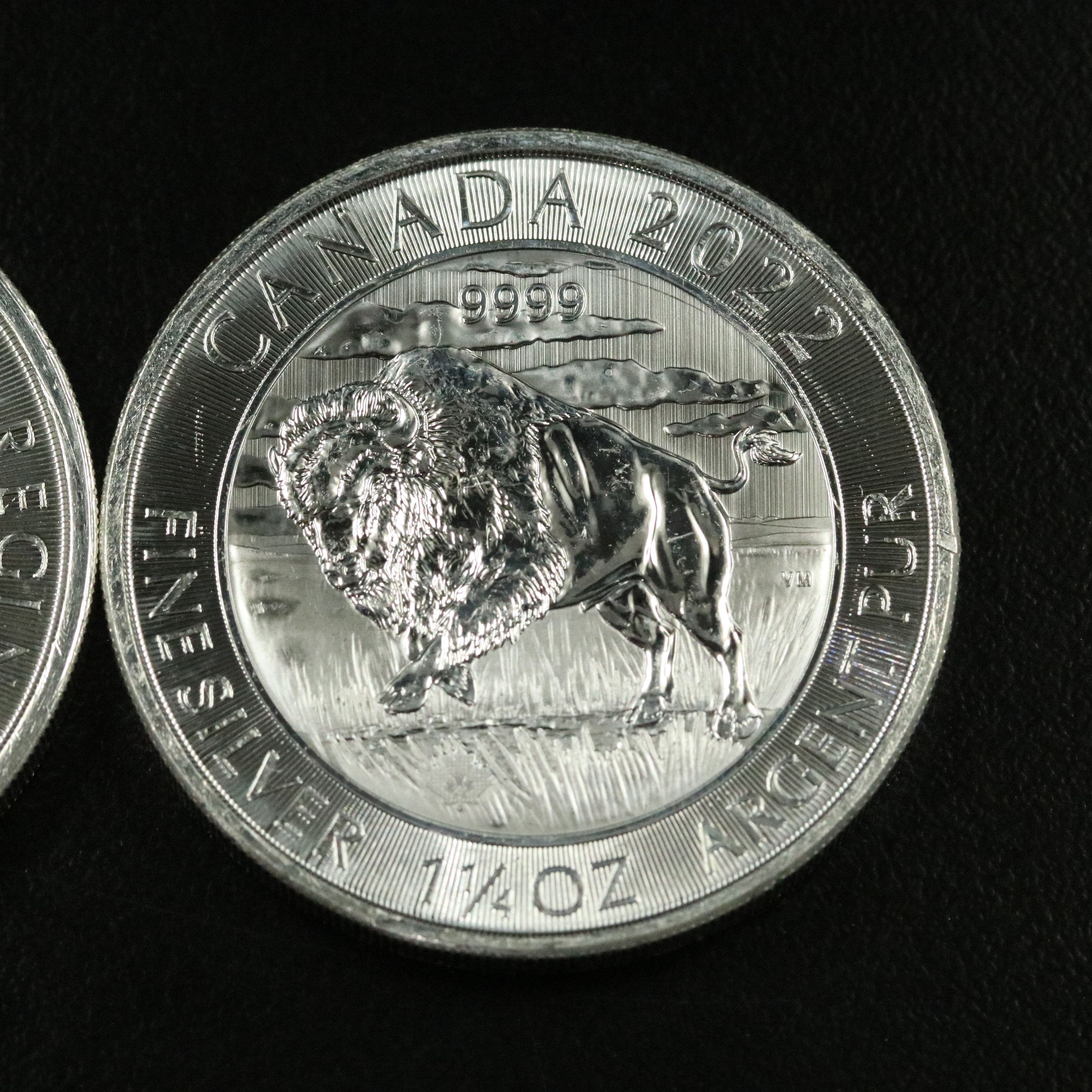 Two 2022 Canadian $8 Bison 1.25 Troy Ounce Silver Coins