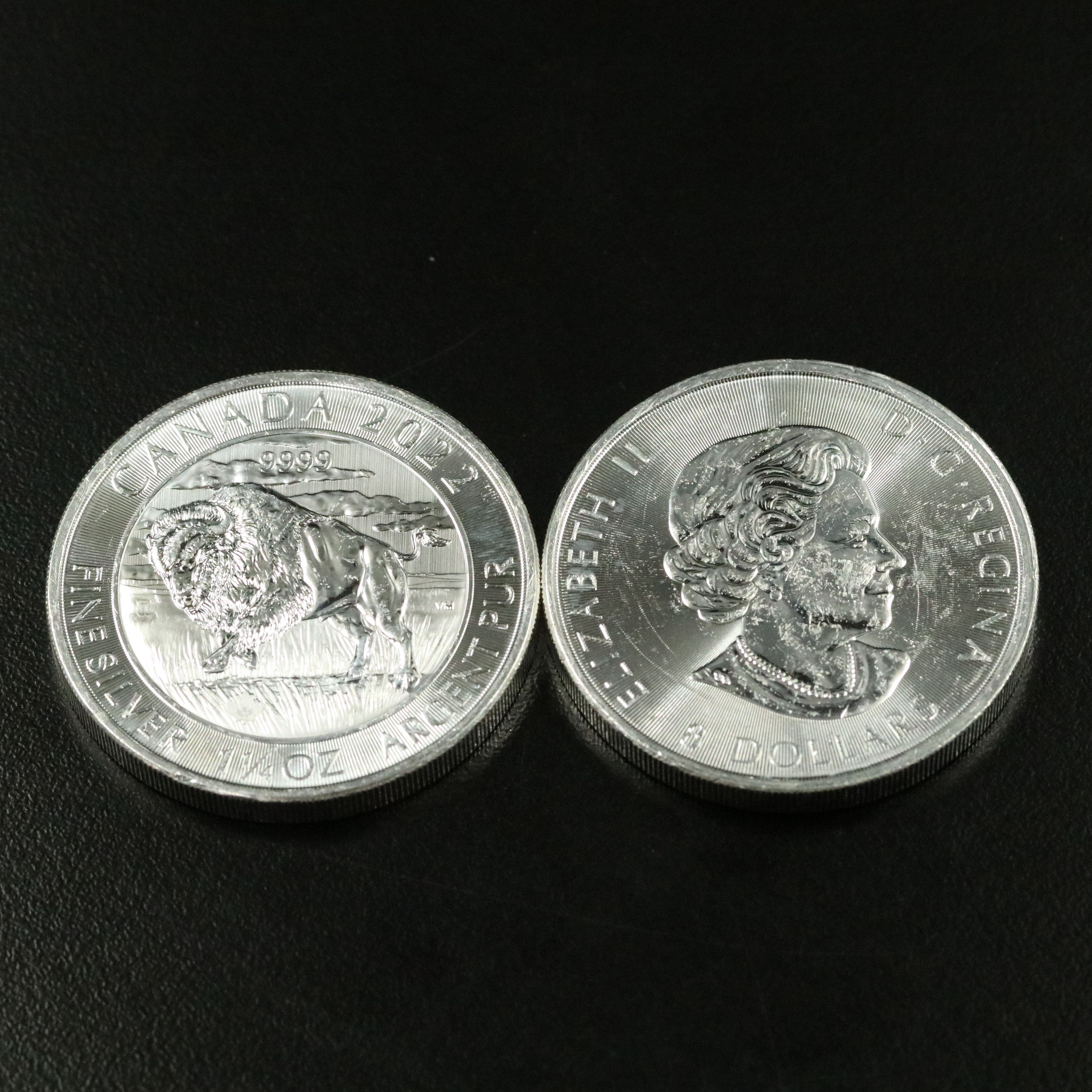 Two 2022 Canadian $8 Bison 1.25 Troy Ounce Silver Coins