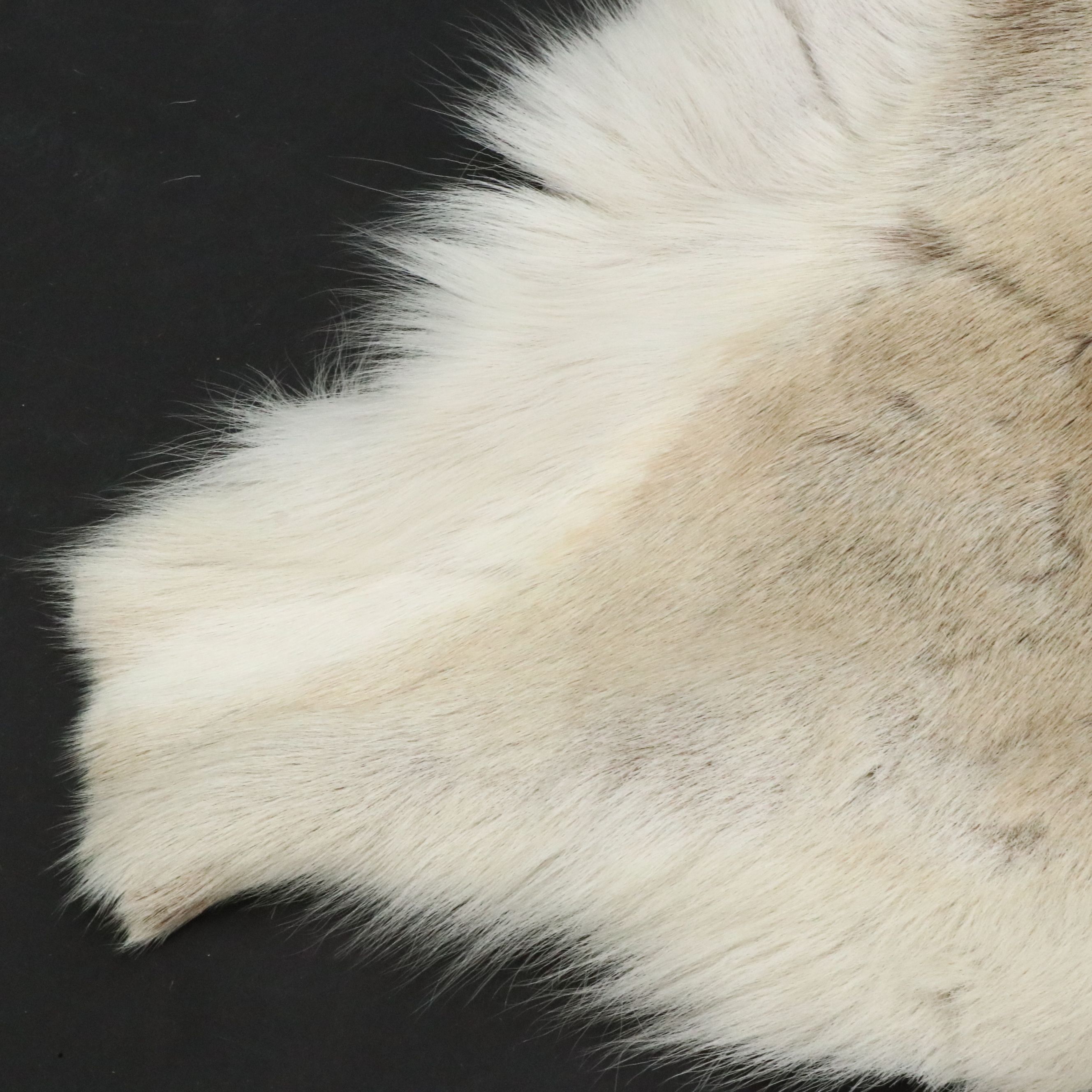 3'7 x 4'2 Granberg Garveri Norwegian Reindeer Hide