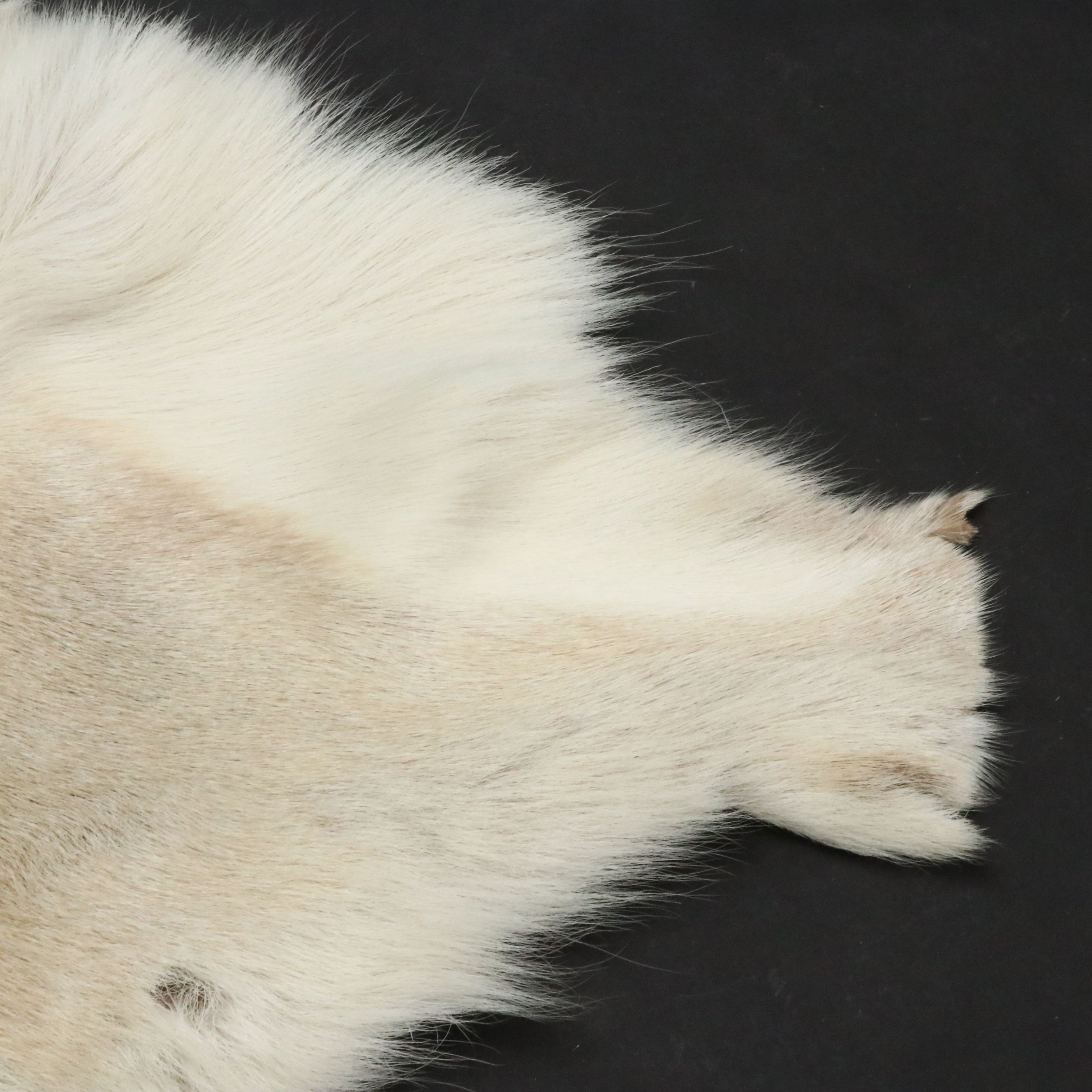 3'7 x 4'2 Granberg Garveri Norwegian Reindeer Hide