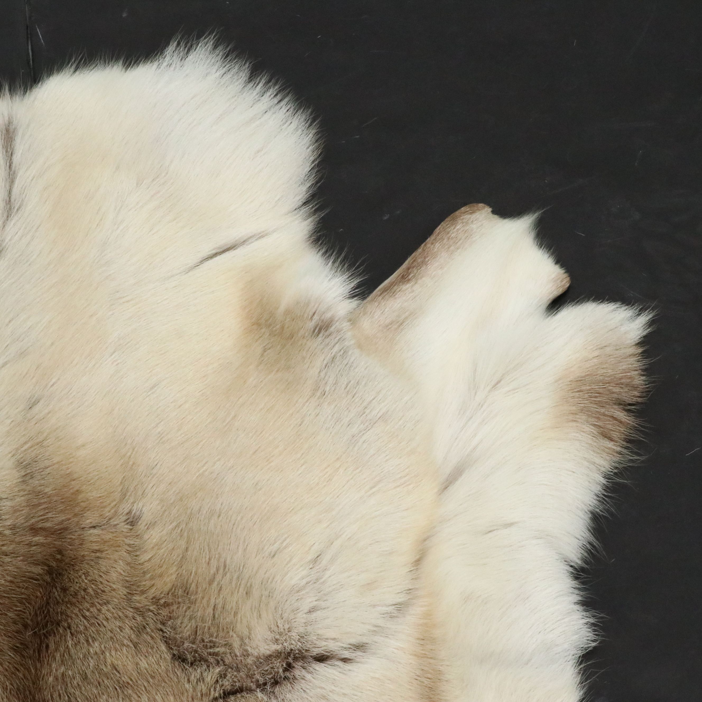 3'7 x 4'2 Granberg Garveri Norwegian Reindeer Hide