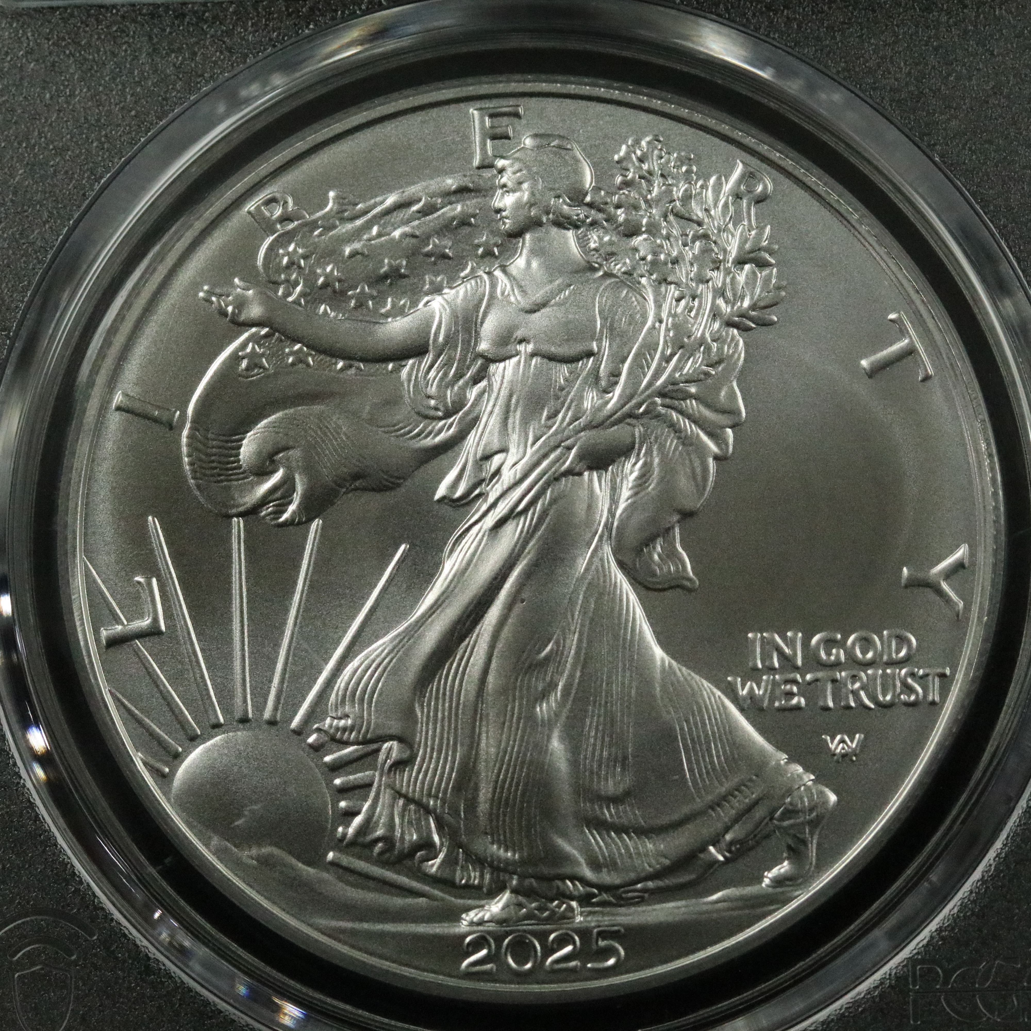 PCGS Graded MS70 2025 $1 American Silver Eagle