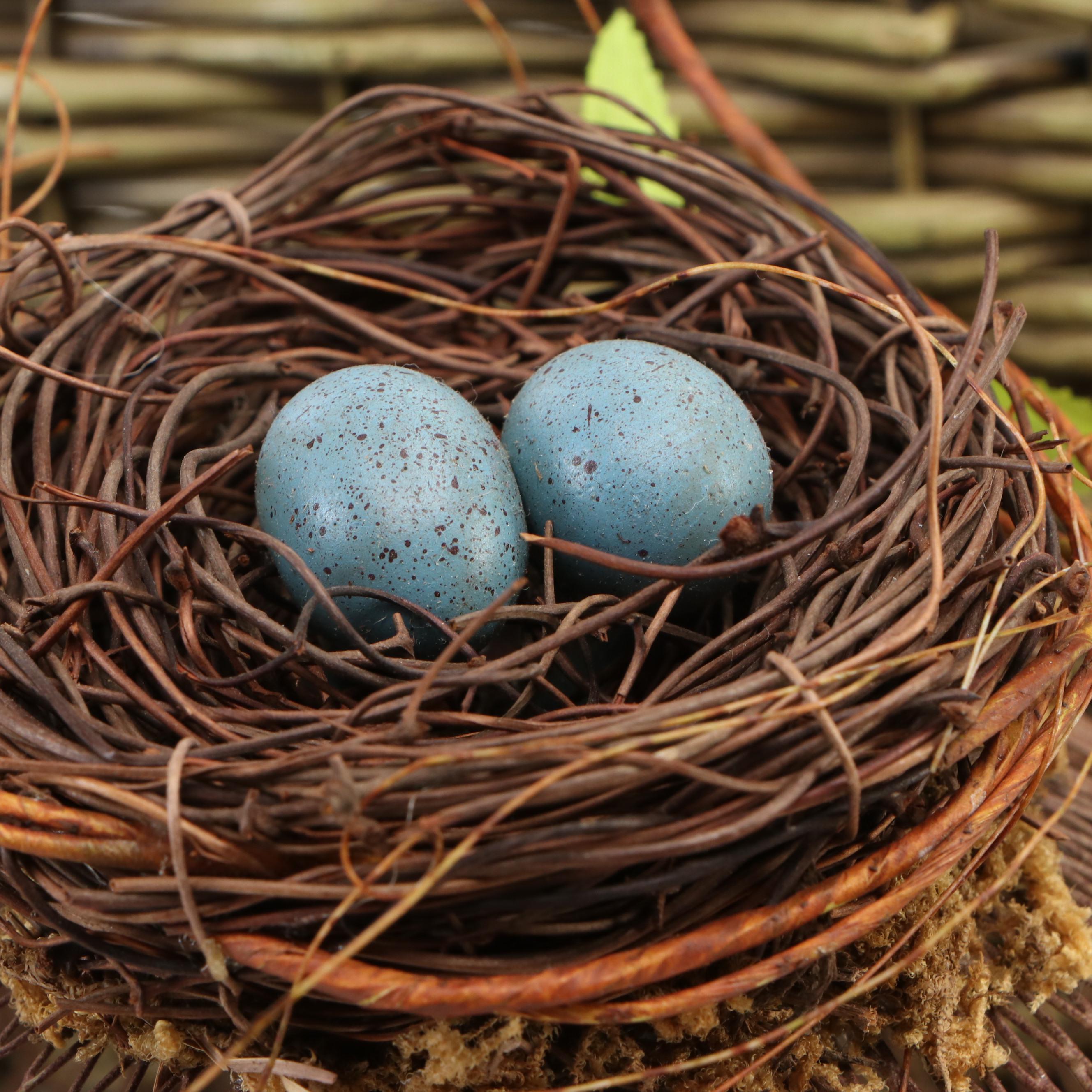 Woven Pineapple Form Candle Holder with Wicker Basket, Flower Frogs, and More