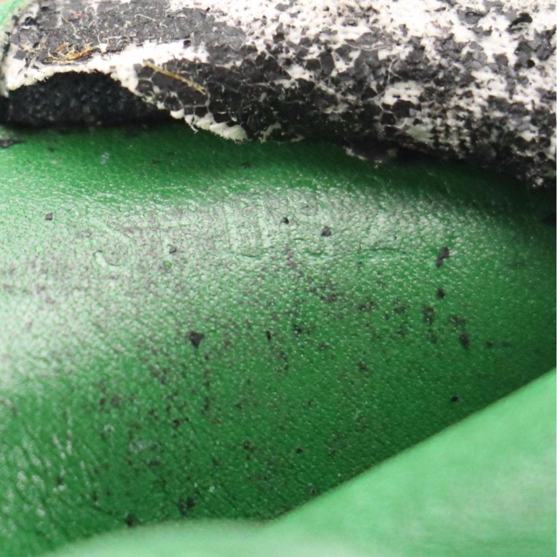 Louis Vuitton Elise Bifold Wallet in Borneo Green Epi Leather with Box