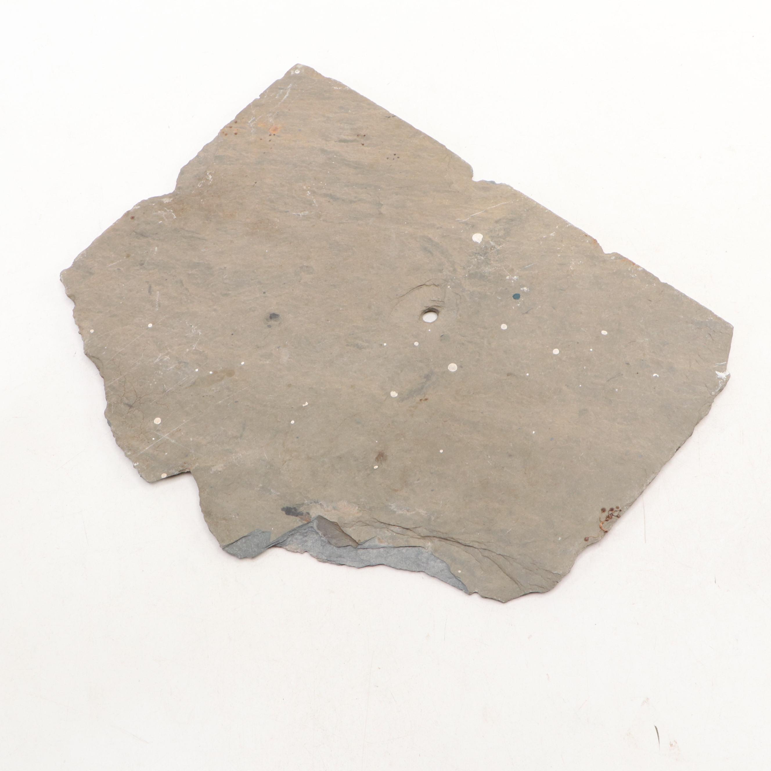 Cast Iron Scottish Terrier and Hunting Dog with "The Fishpond" Stone Sign