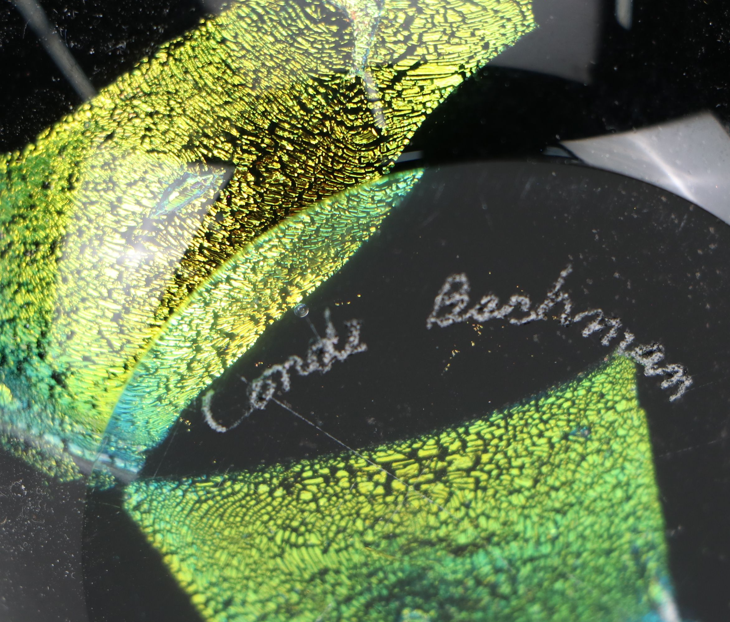 C. Bachmann Dichroic Art Glass Vase