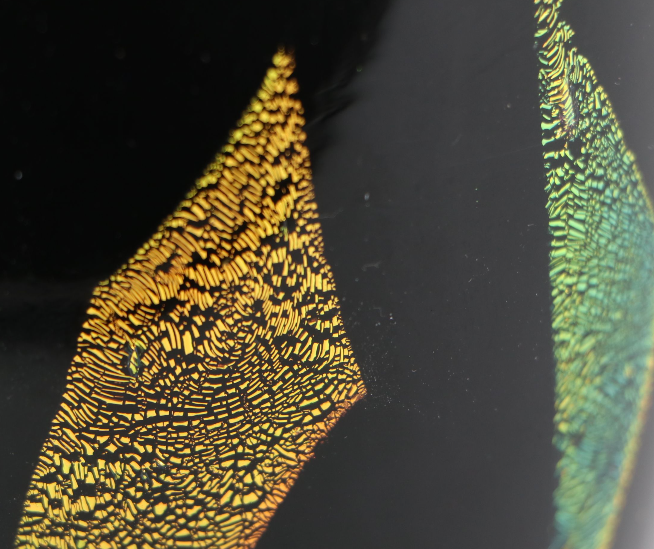 C. Bachmann Dichroic Art Glass Vase