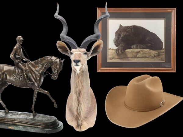 Curated Collection: Distinquished Home Furnishings, Taxidermy & Decor