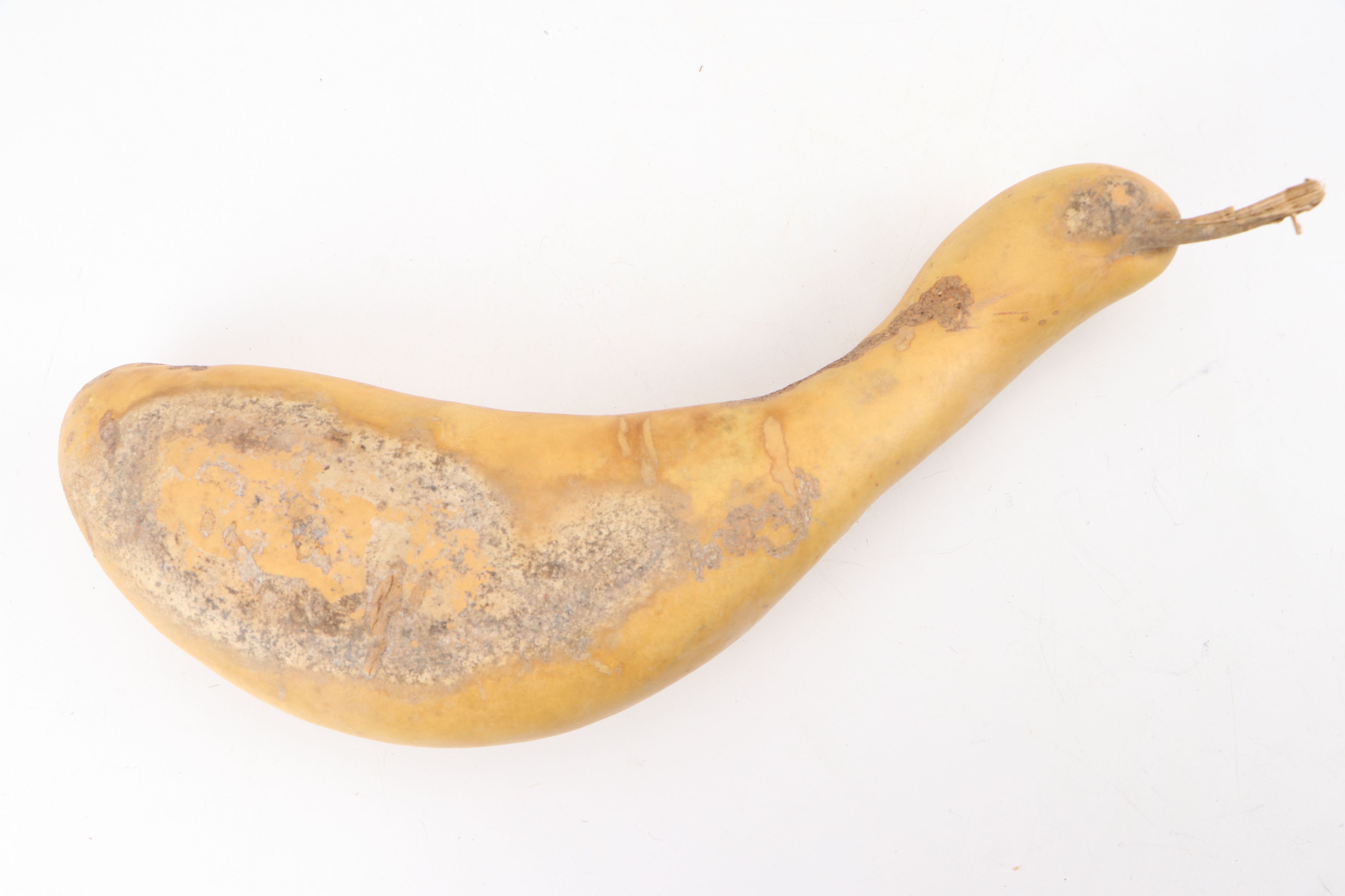 Gourd Birdhouse and Baskets with Polychrome Wood Puffin