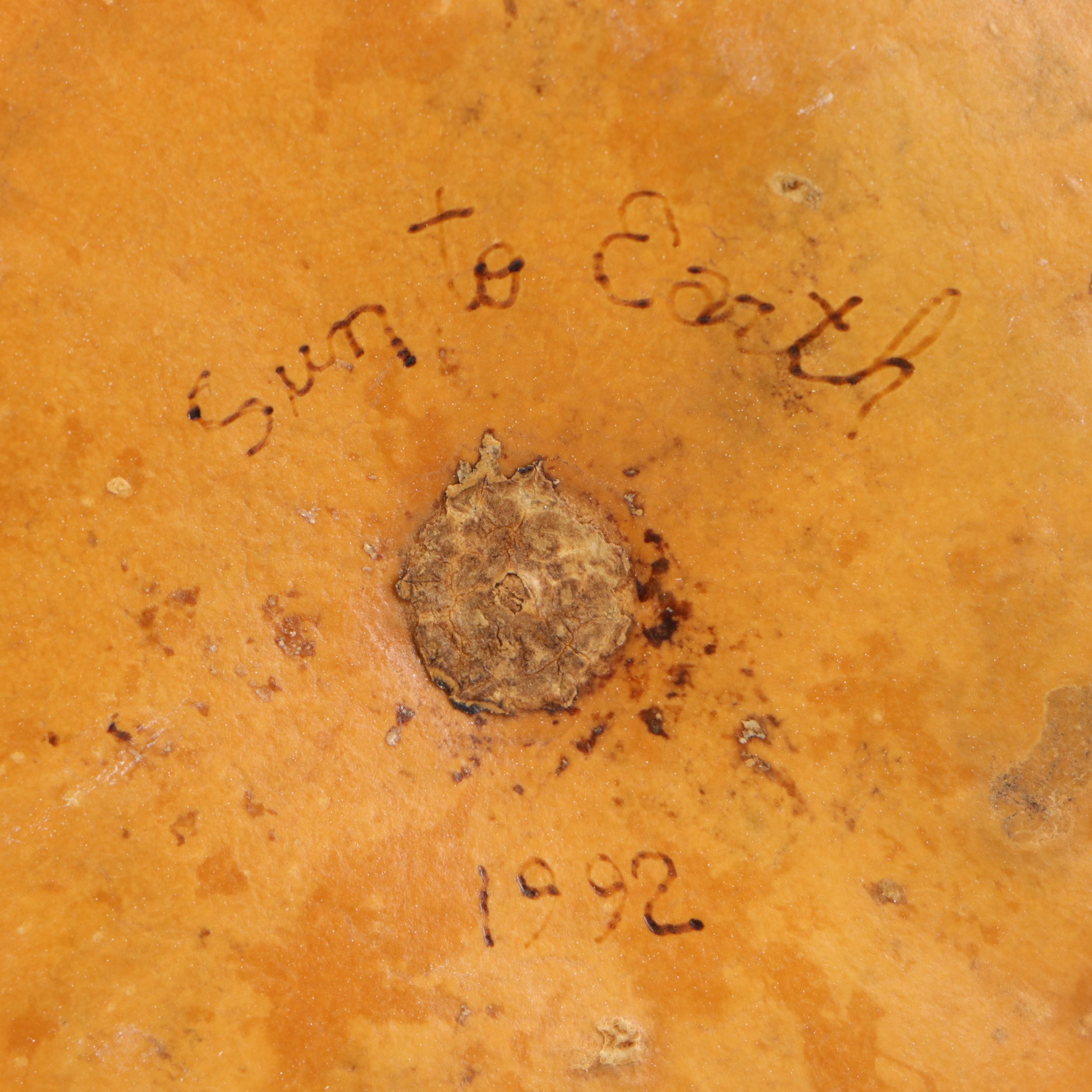 Gourd Birdhouse and Baskets with Polychrome Wood Puffin