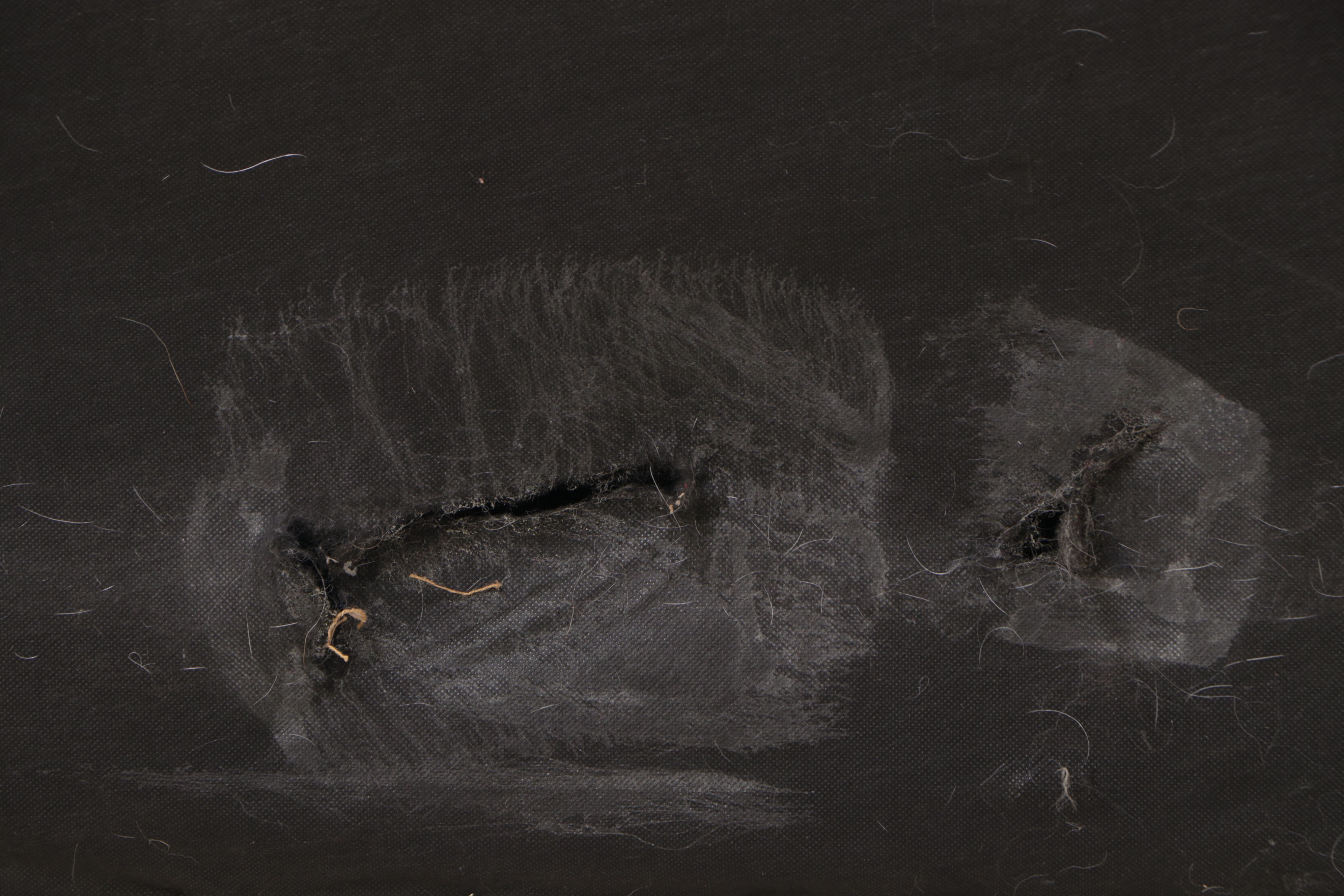 Highland House Tan Upholstered Sofa