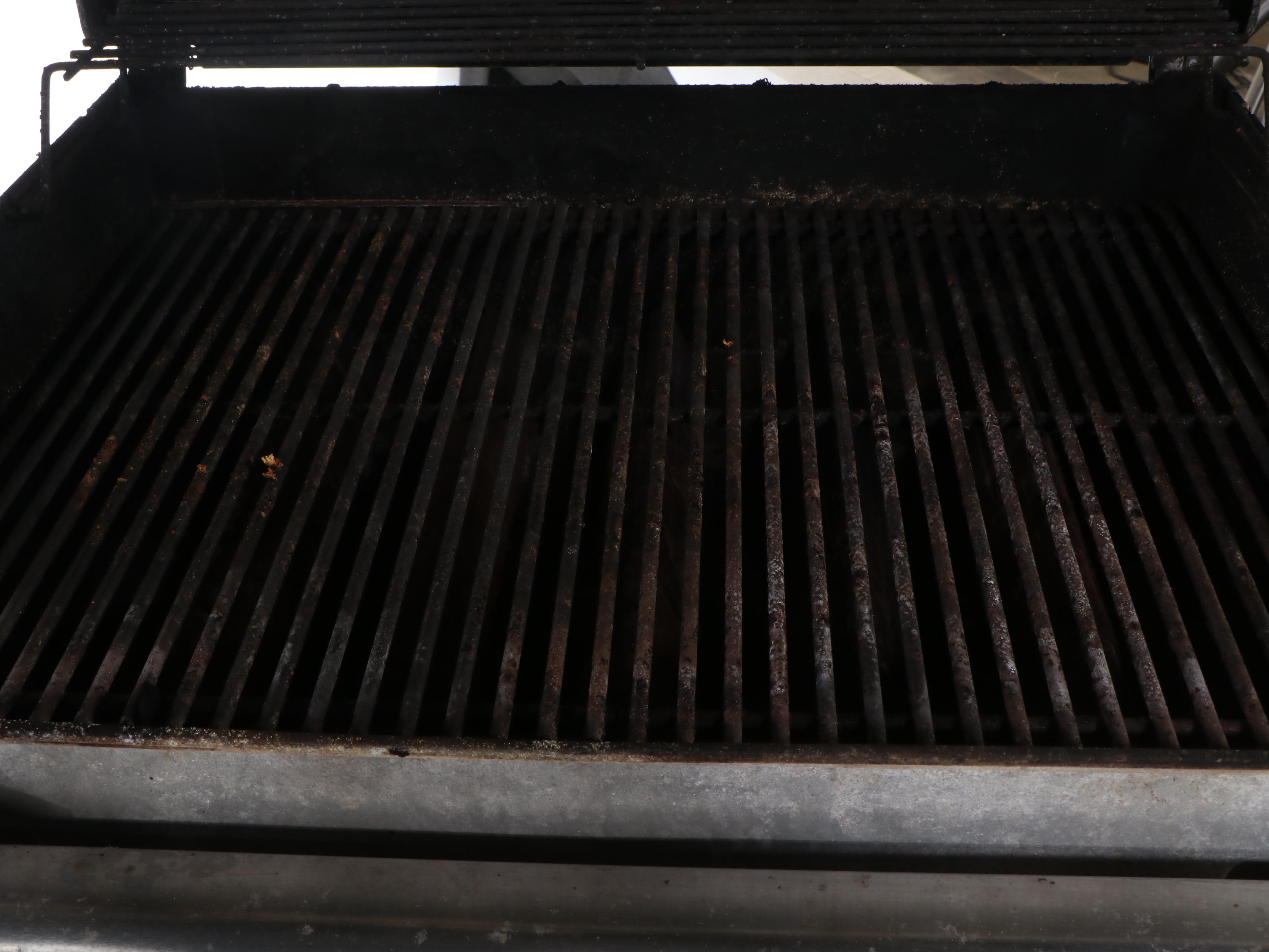 Weber Genesis Gas Grill