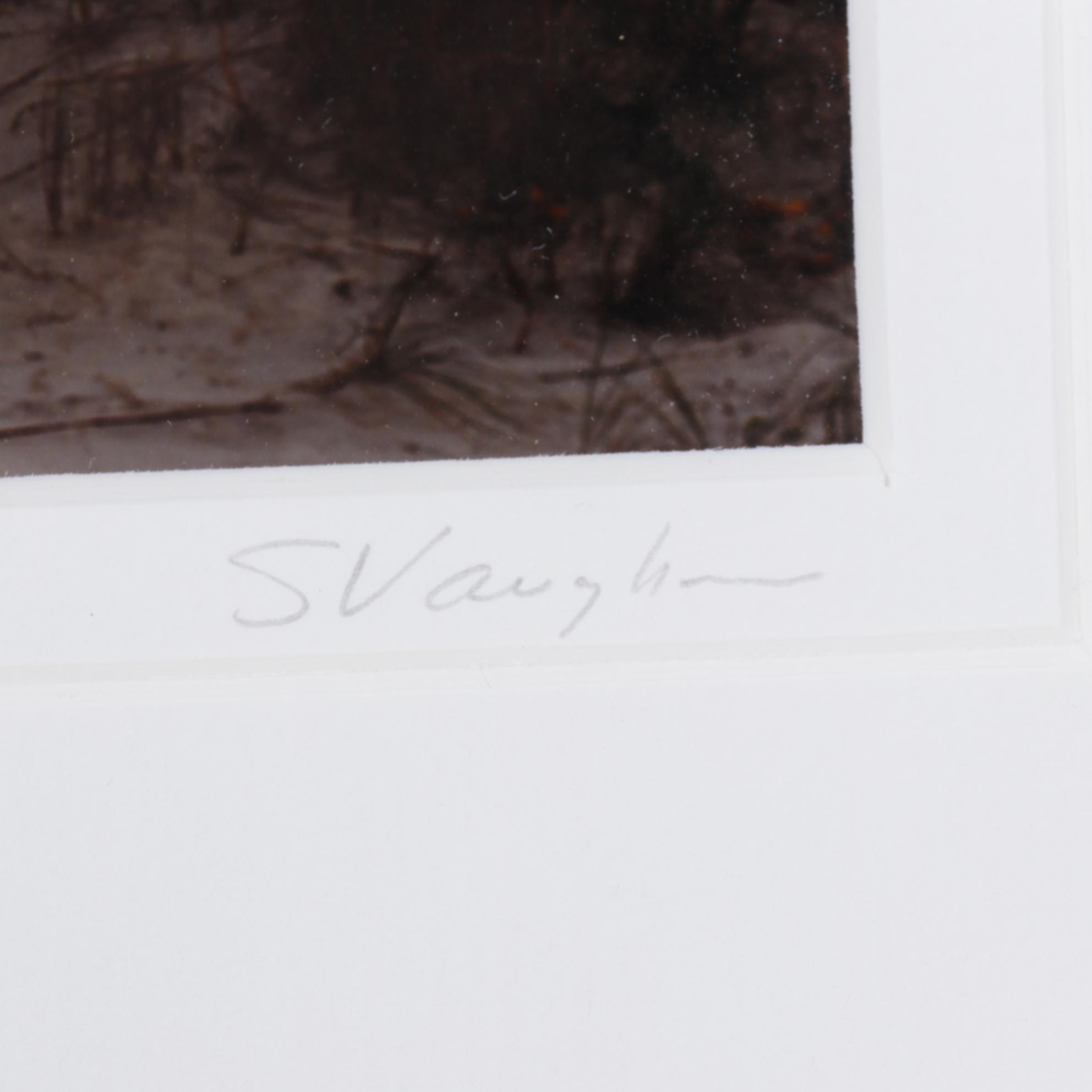 Steve Vaughn Panoramic Photograph of Beach Scene at Sunset