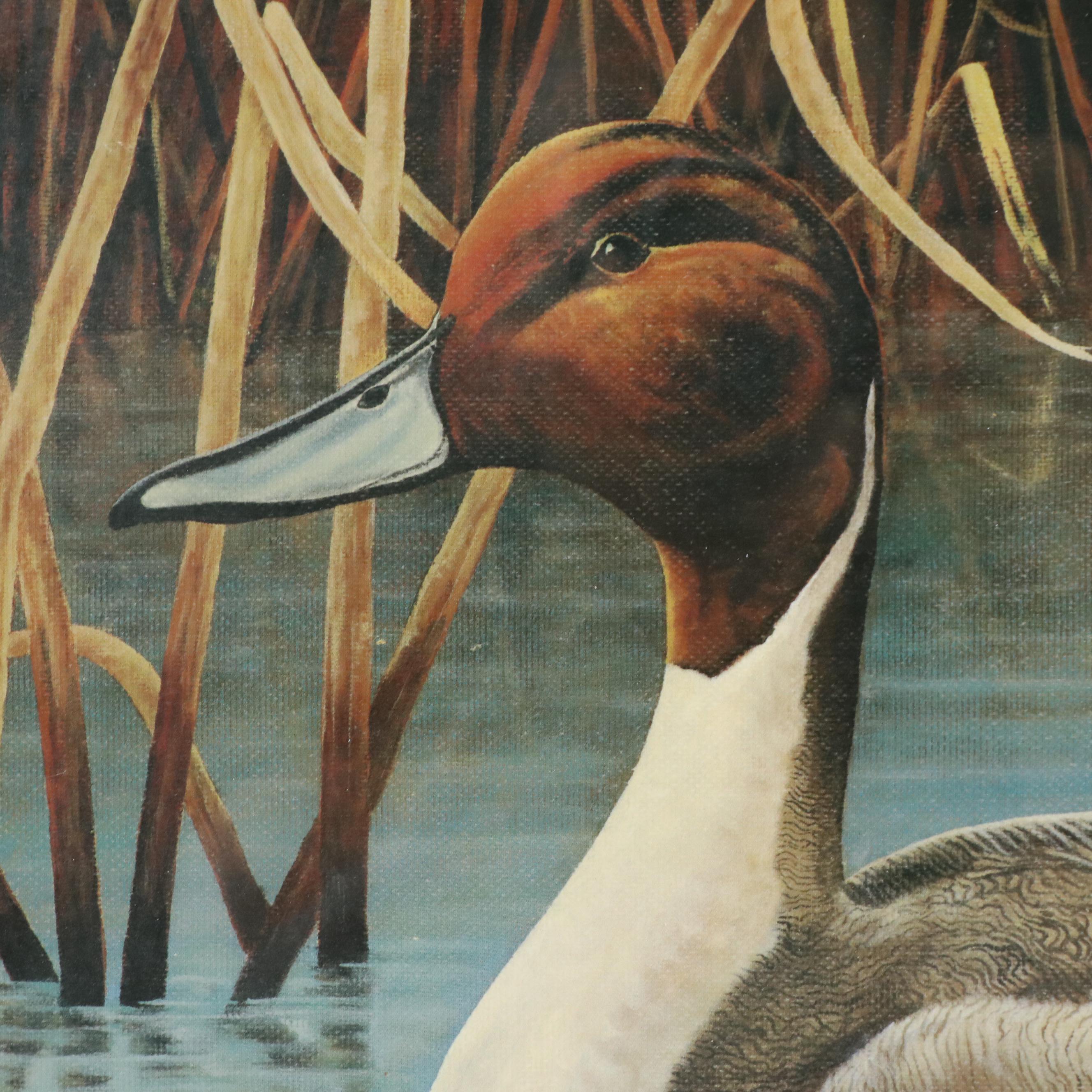 Michael McClure Offset Lithograph of Northern Pintail Duck, 1996