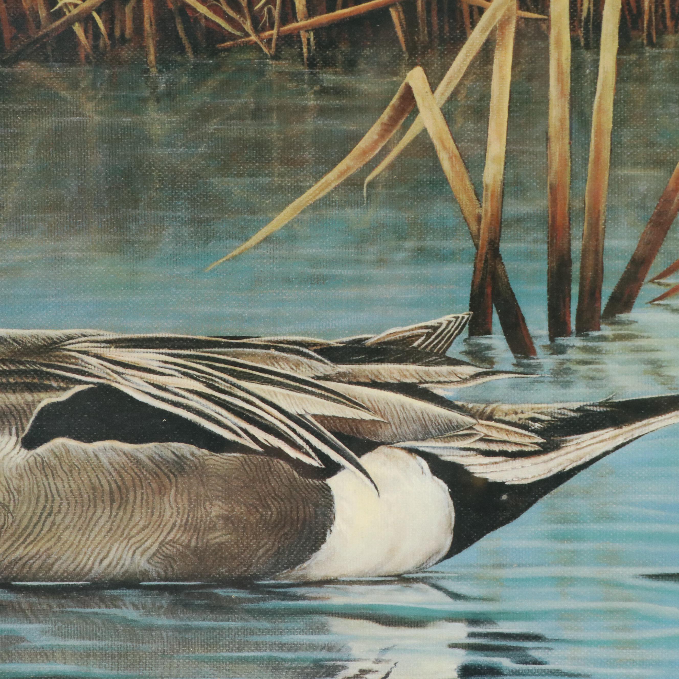 Michael McClure Offset Lithograph of Northern Pintail Duck, 1996