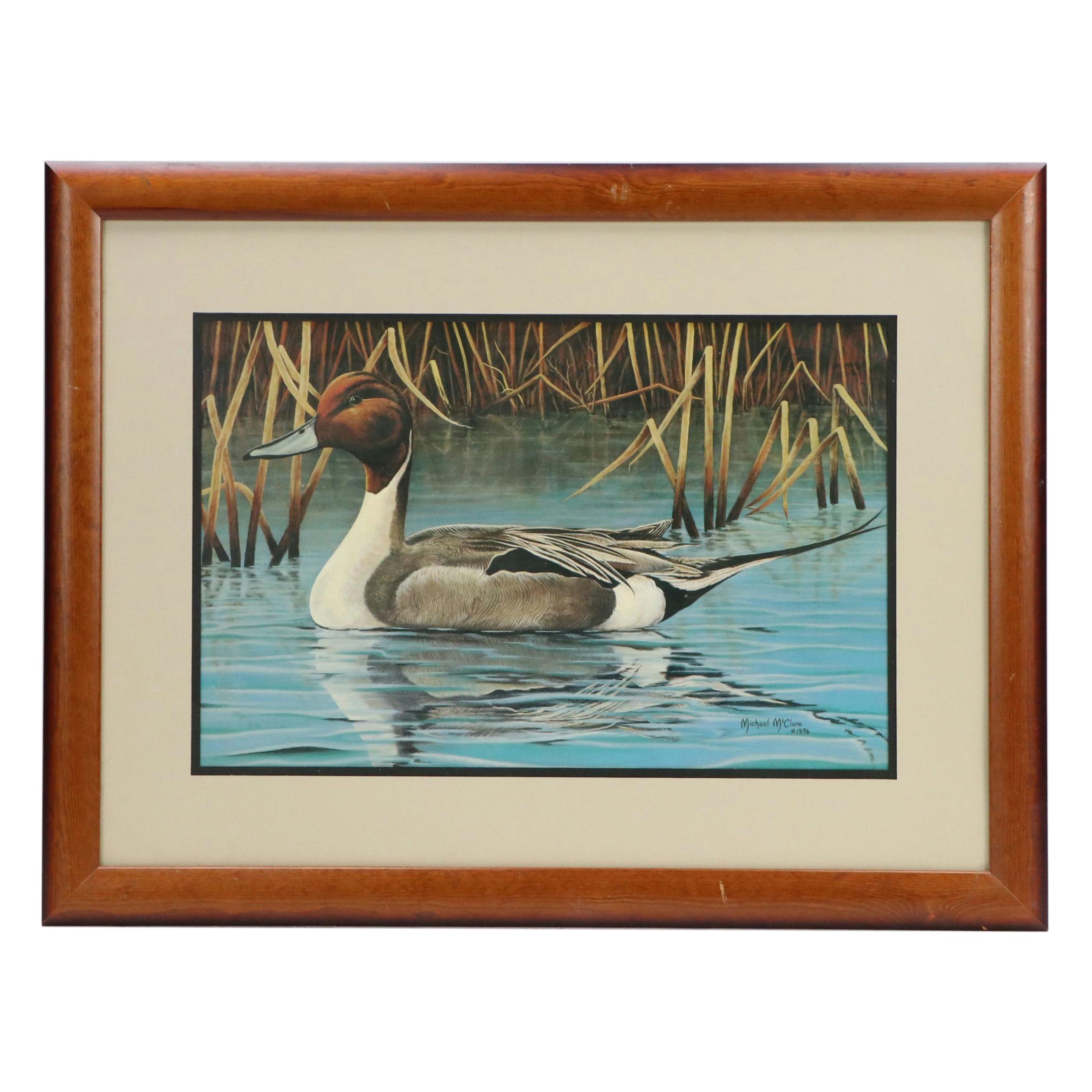 Michael McClure Offset Lithograph of Northern Pintail Duck, 1996