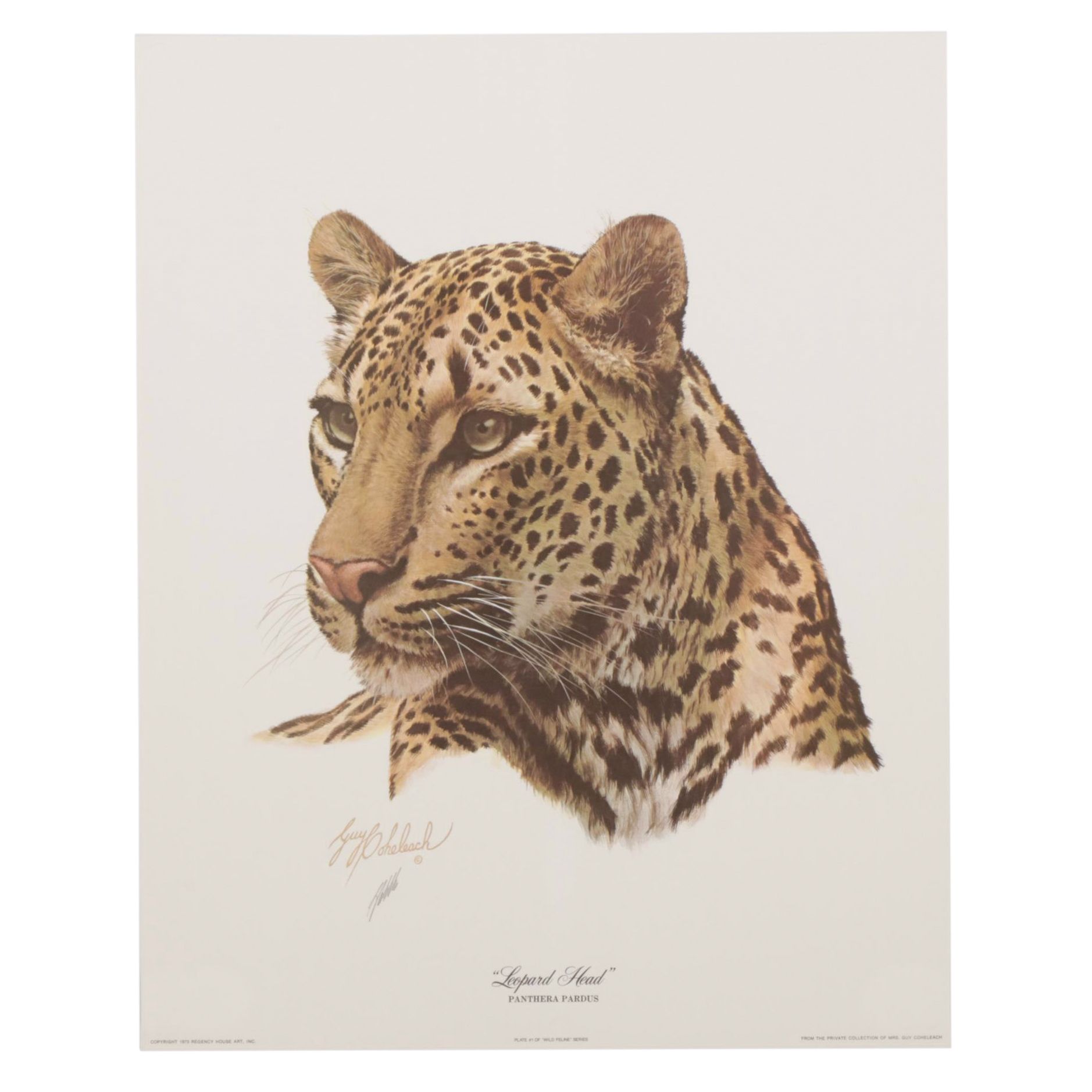 Guy Coheleach "Leopard Head" Offset Lithograph, 1973