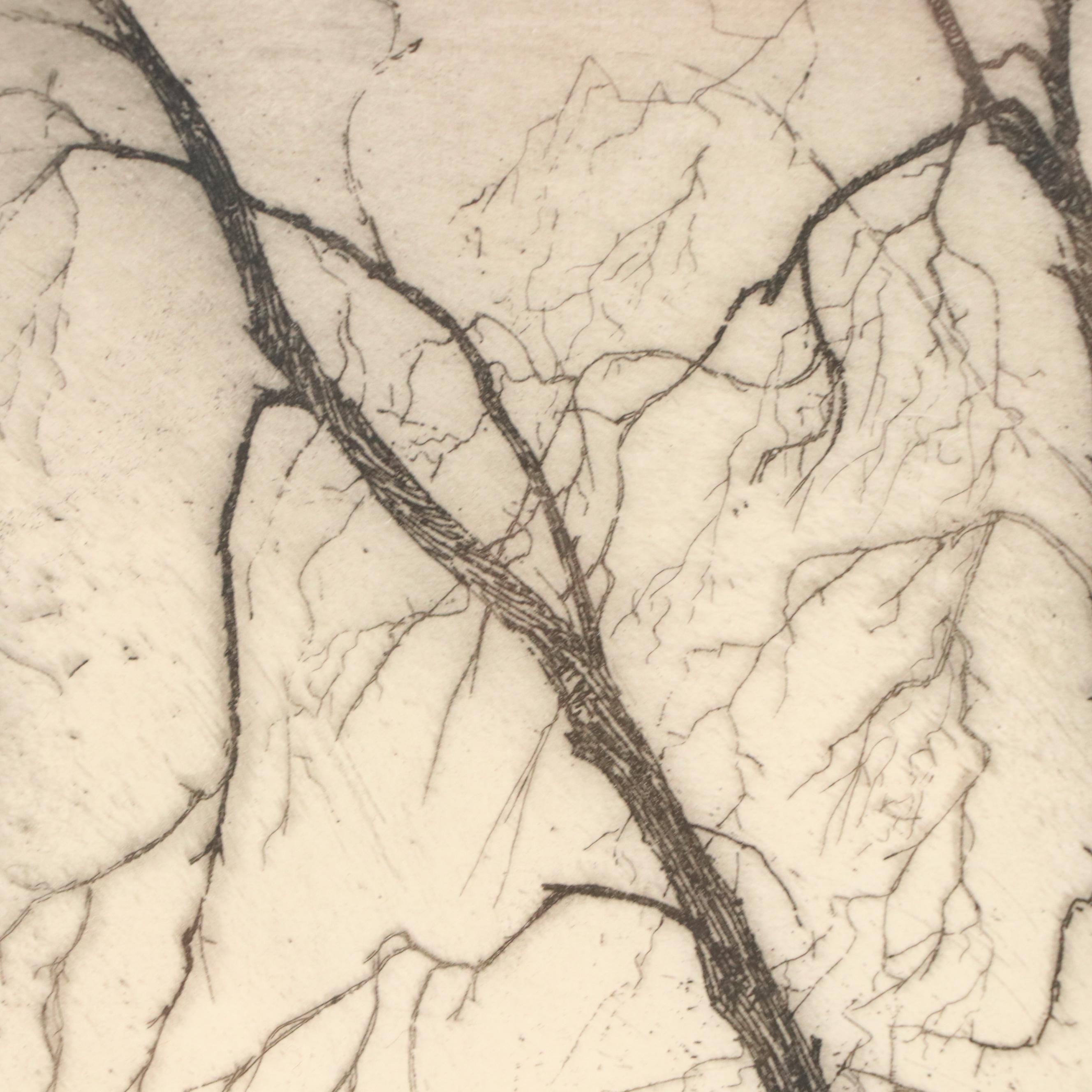 Gertrude Fiske (American, 1879-1961) Etching of Trees, Early 20th Century