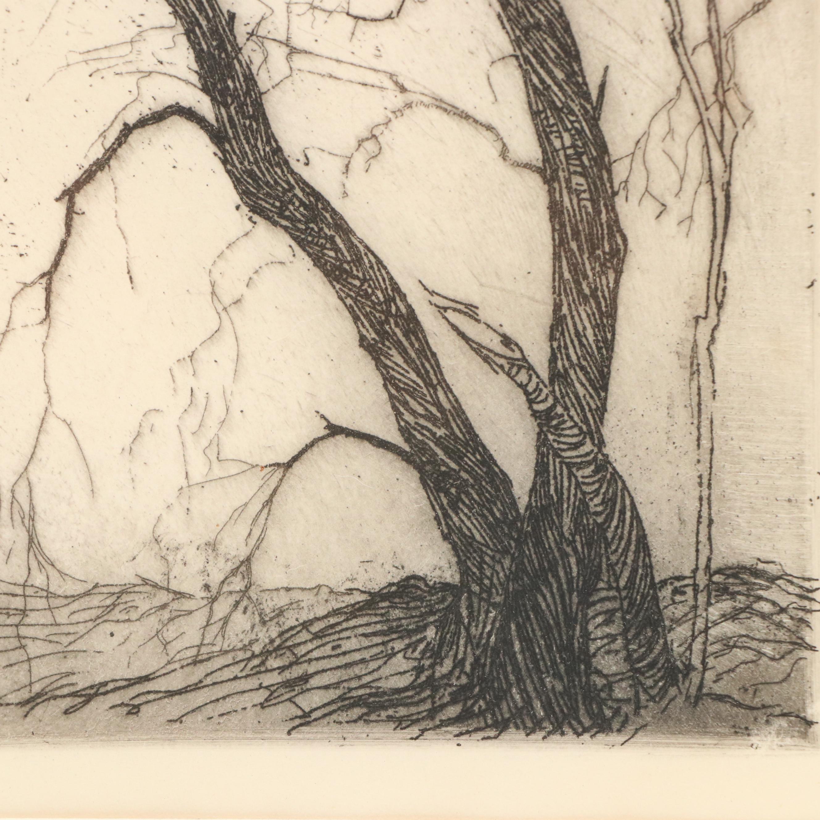 Gertrude Fiske (American, 1879-1961) Etching of Trees, Early 20th Century