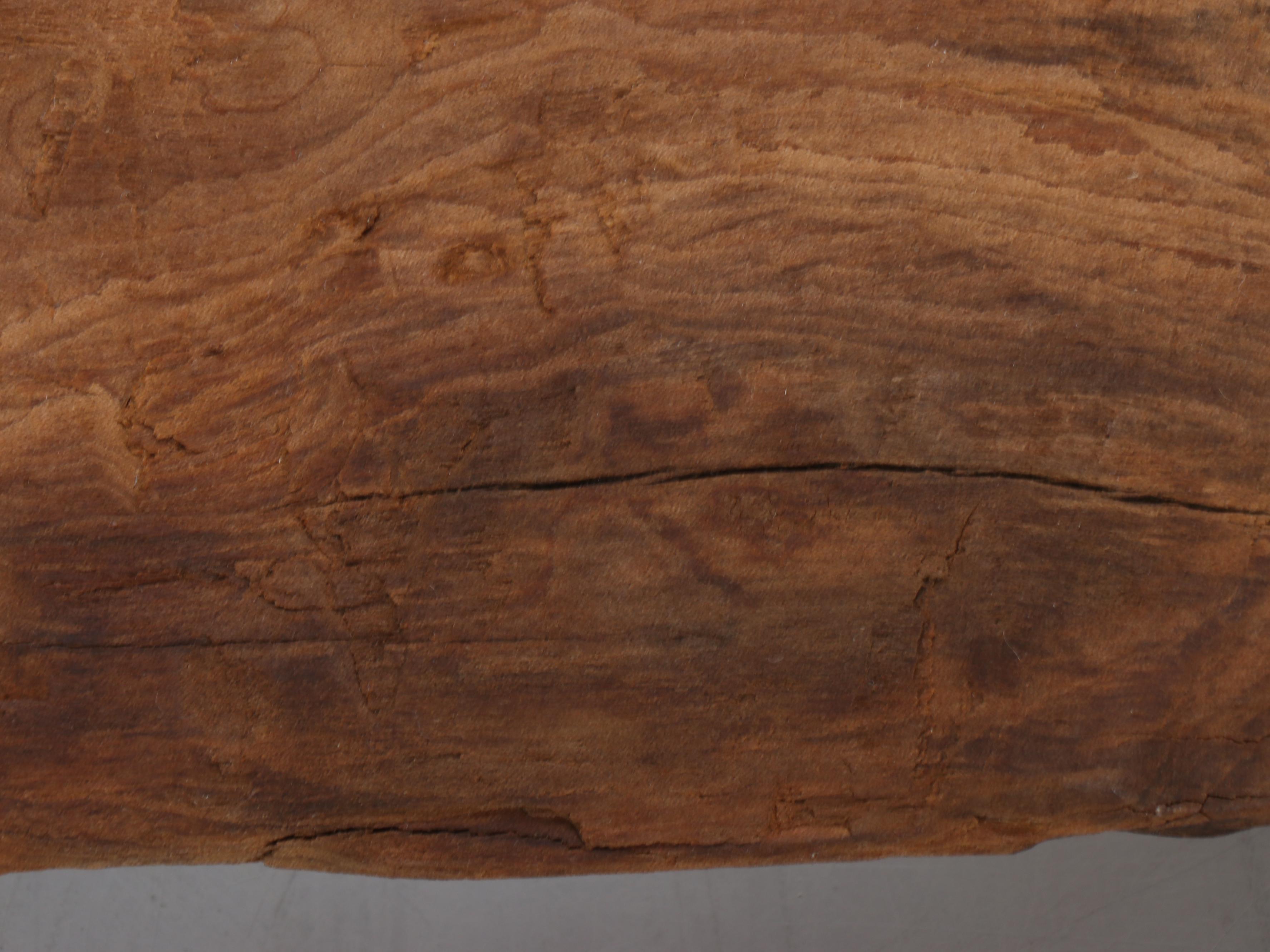 Large Biomorphic Hand-Carved Wood Sculpture for Wall