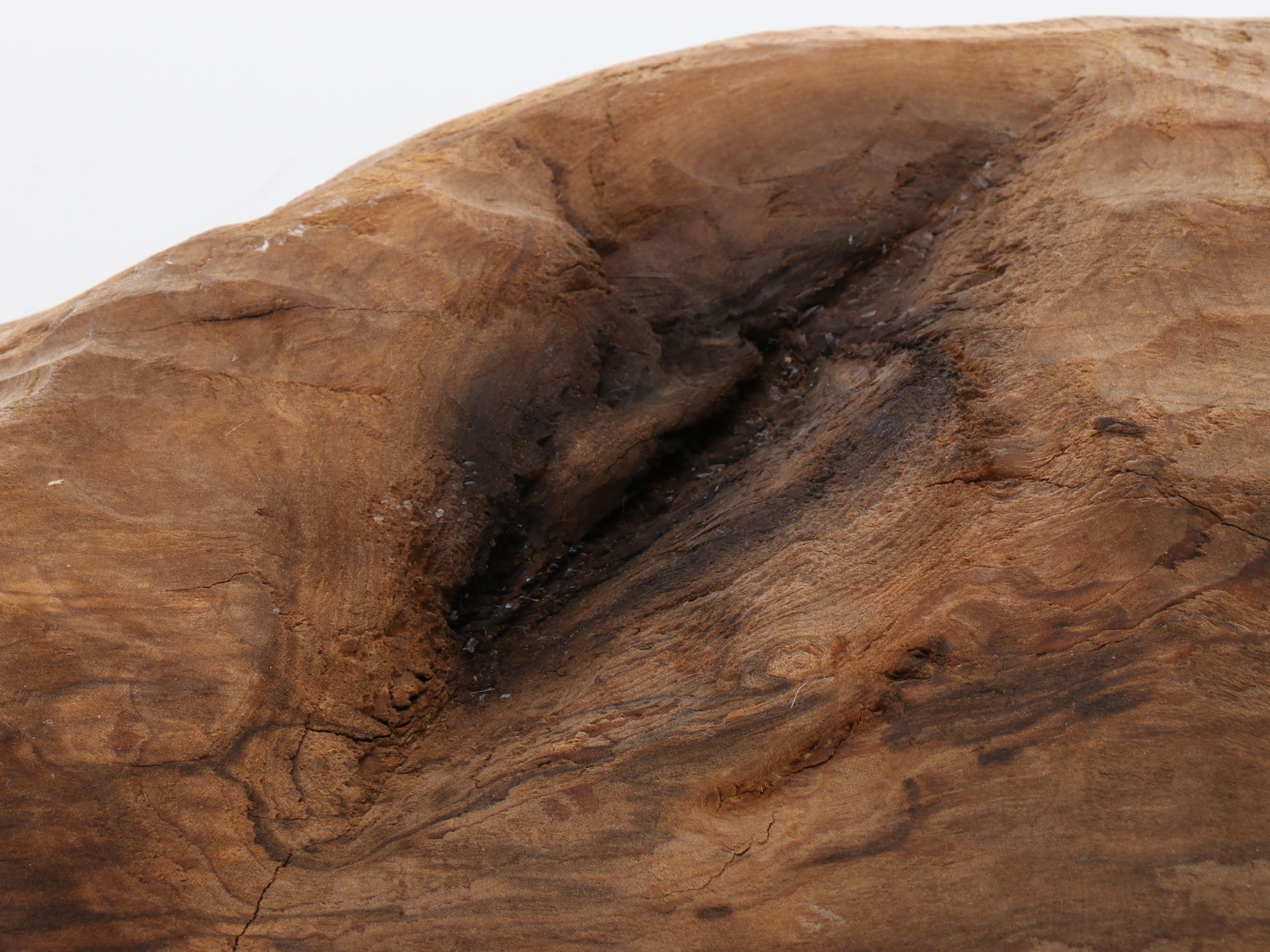 Large Biomorphic Hand-Carved Wood Sculpture for Wall