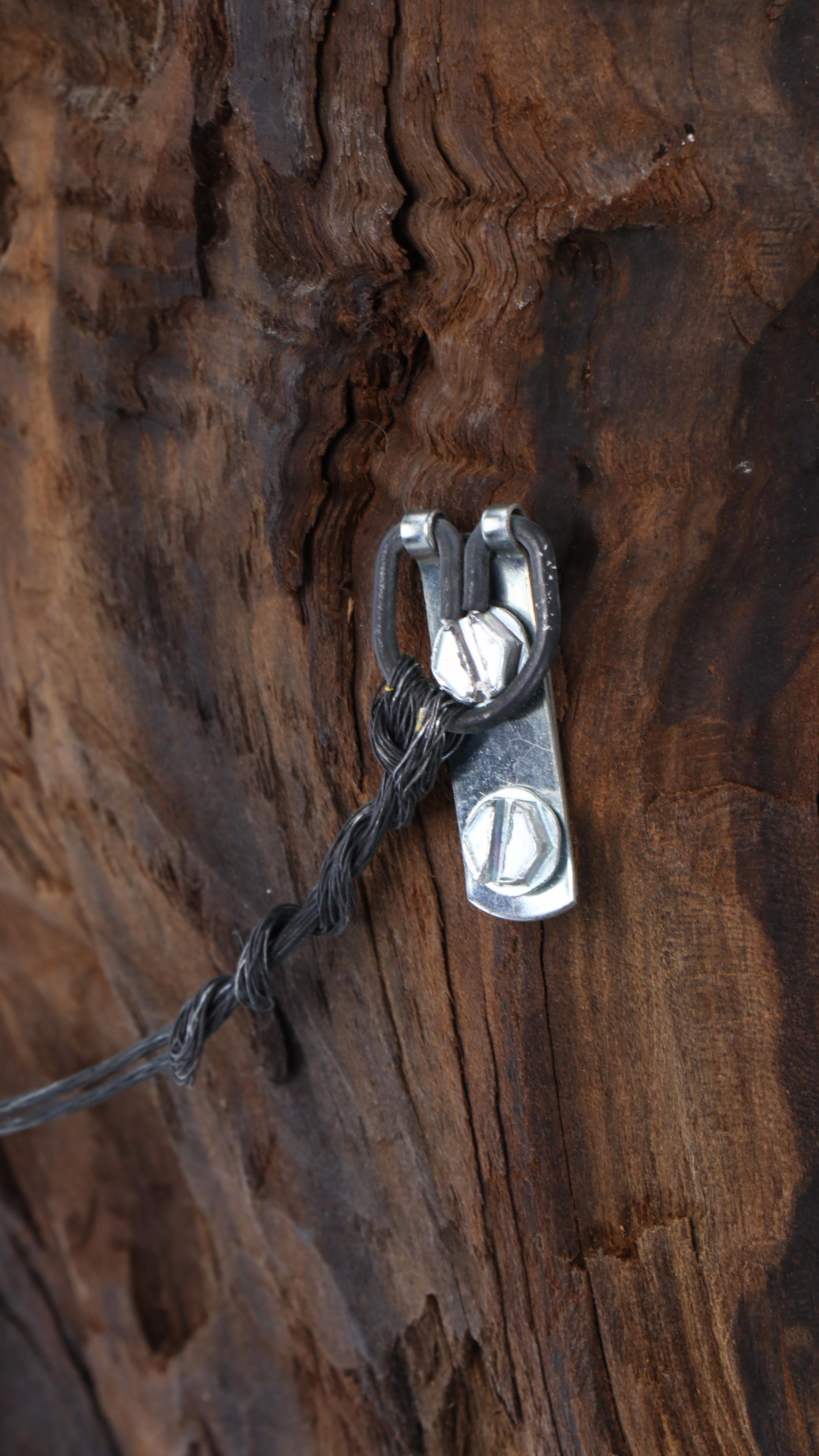 Large Biomorphic Hand-Carved Wood Sculpture for Wall