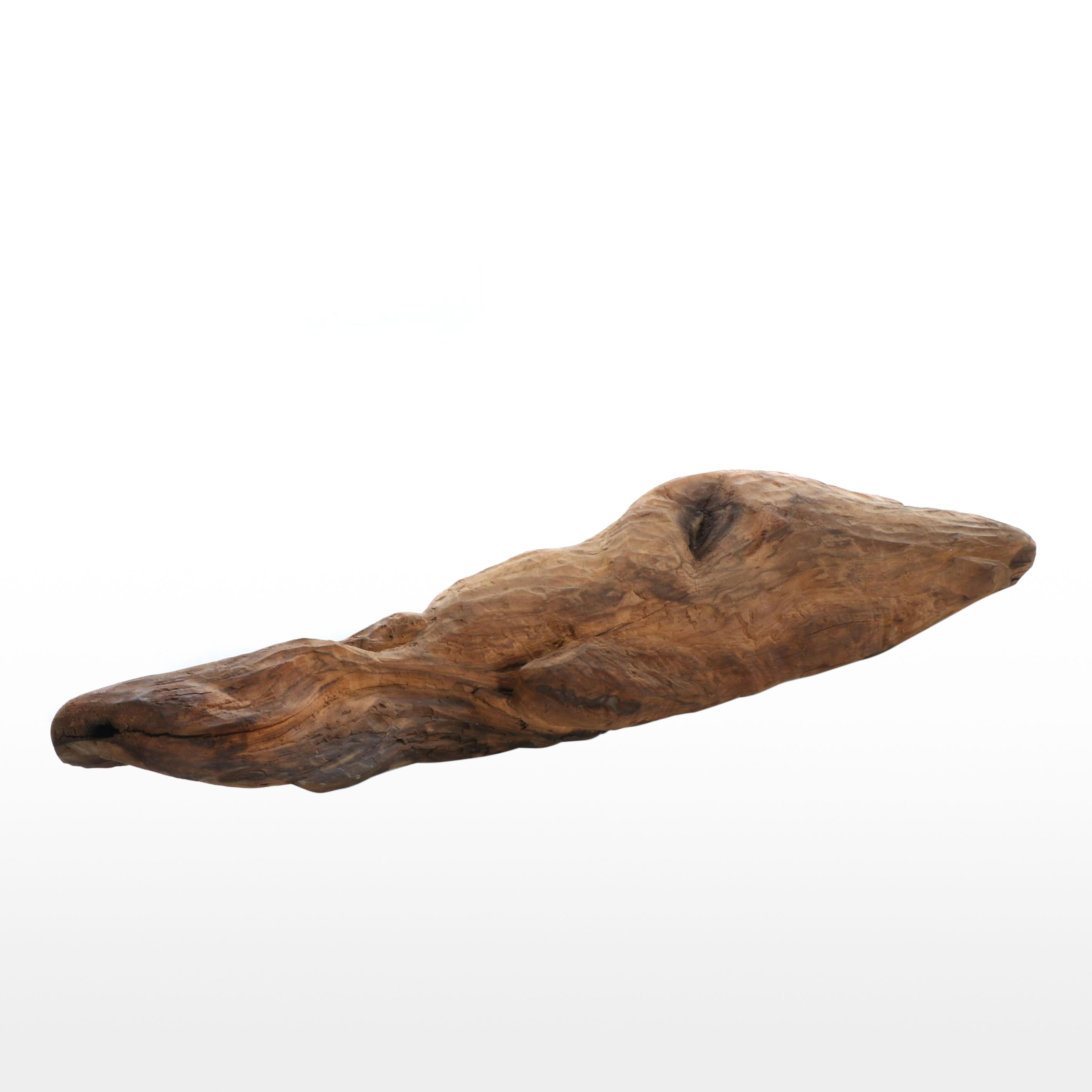 Large Biomorphic Hand-Carved Wood Sculpture for Wall
