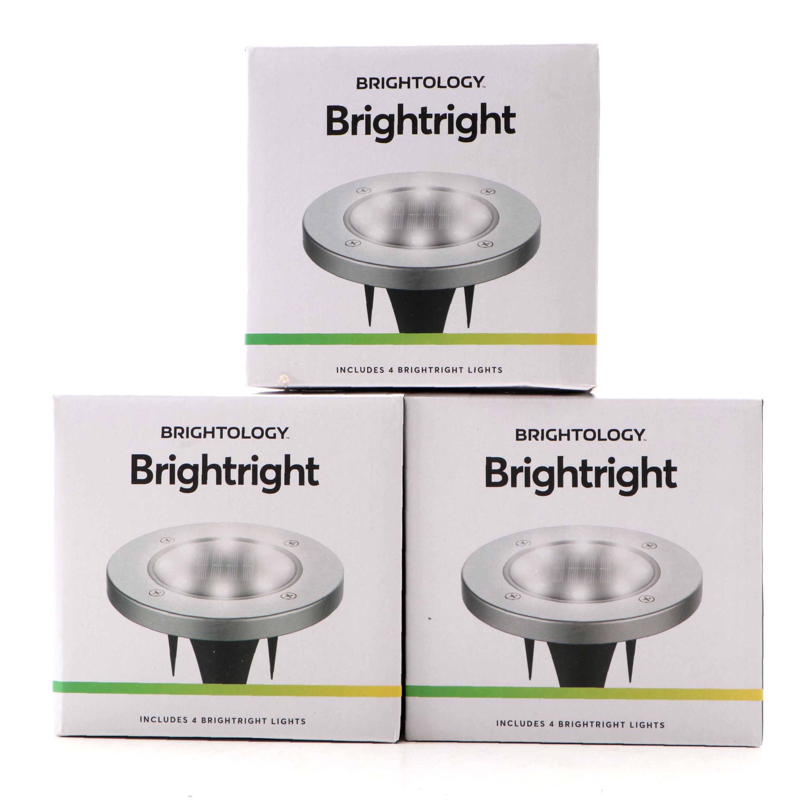 Brightology Brightright Garden Solar LED Lights