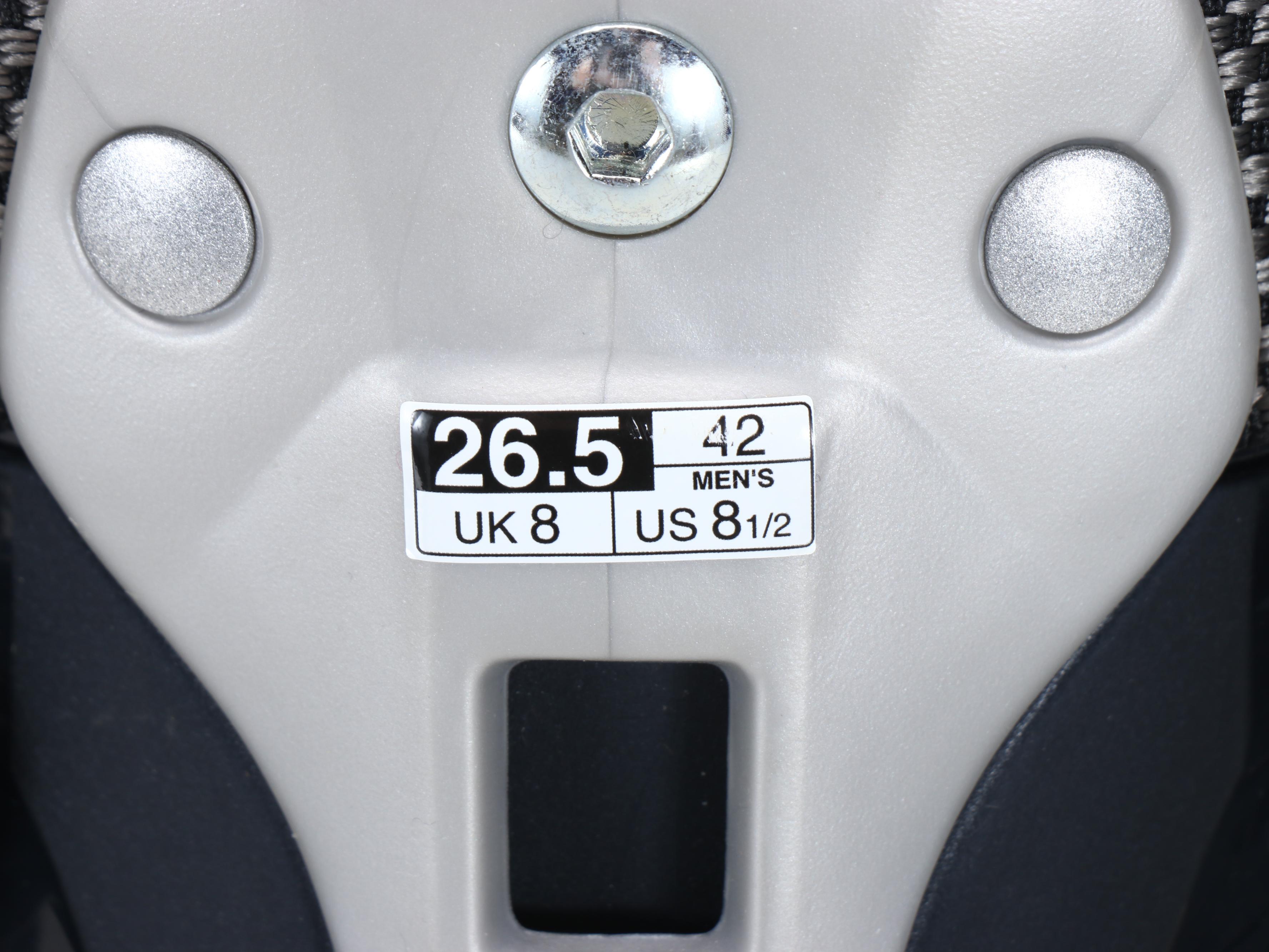 Griffon Skis with Salomon and Technica Ski Boots and Other Ski Poles