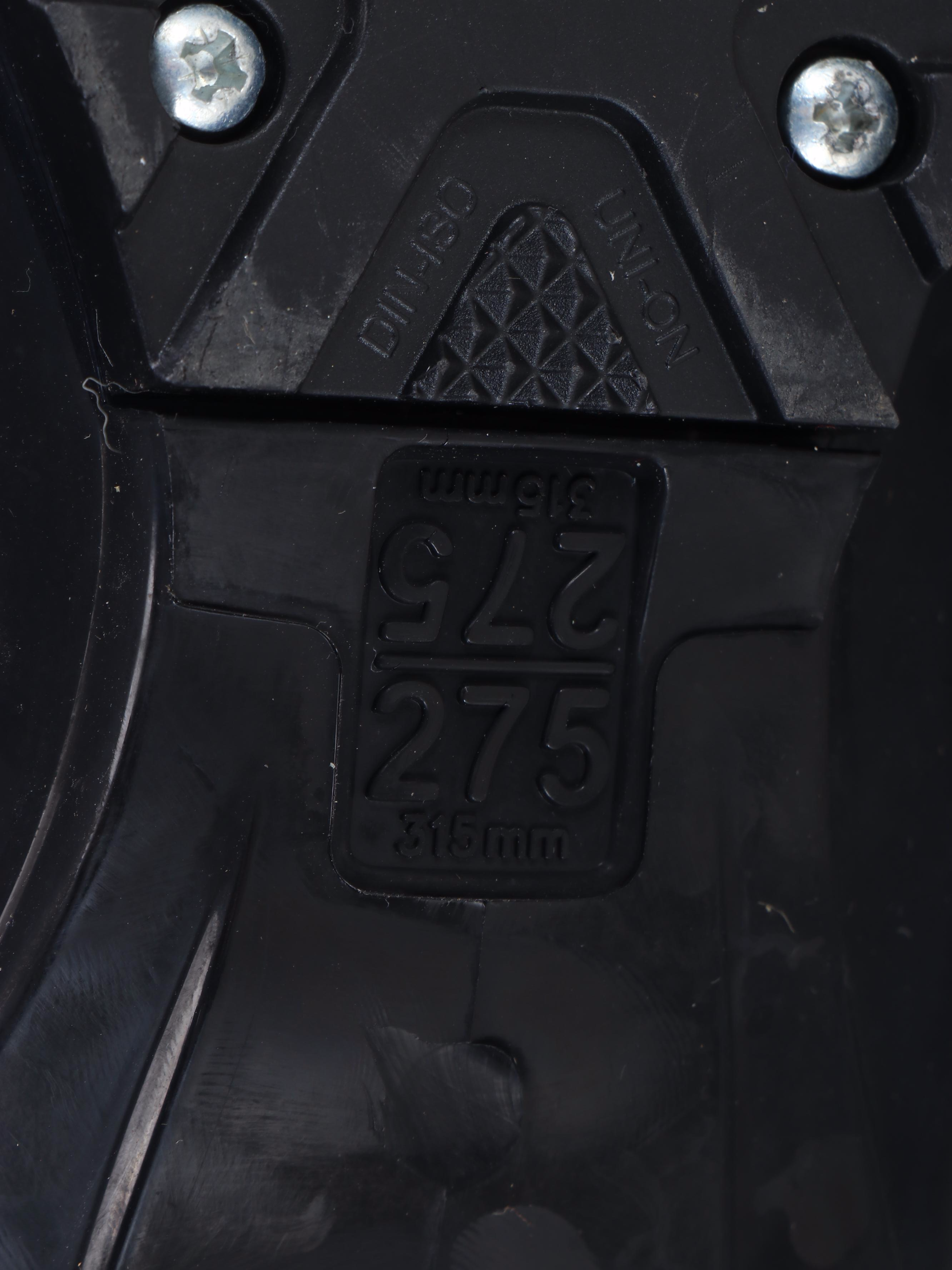 Griffon Skis with Salomon and Technica Ski Boots and Other Ski Poles