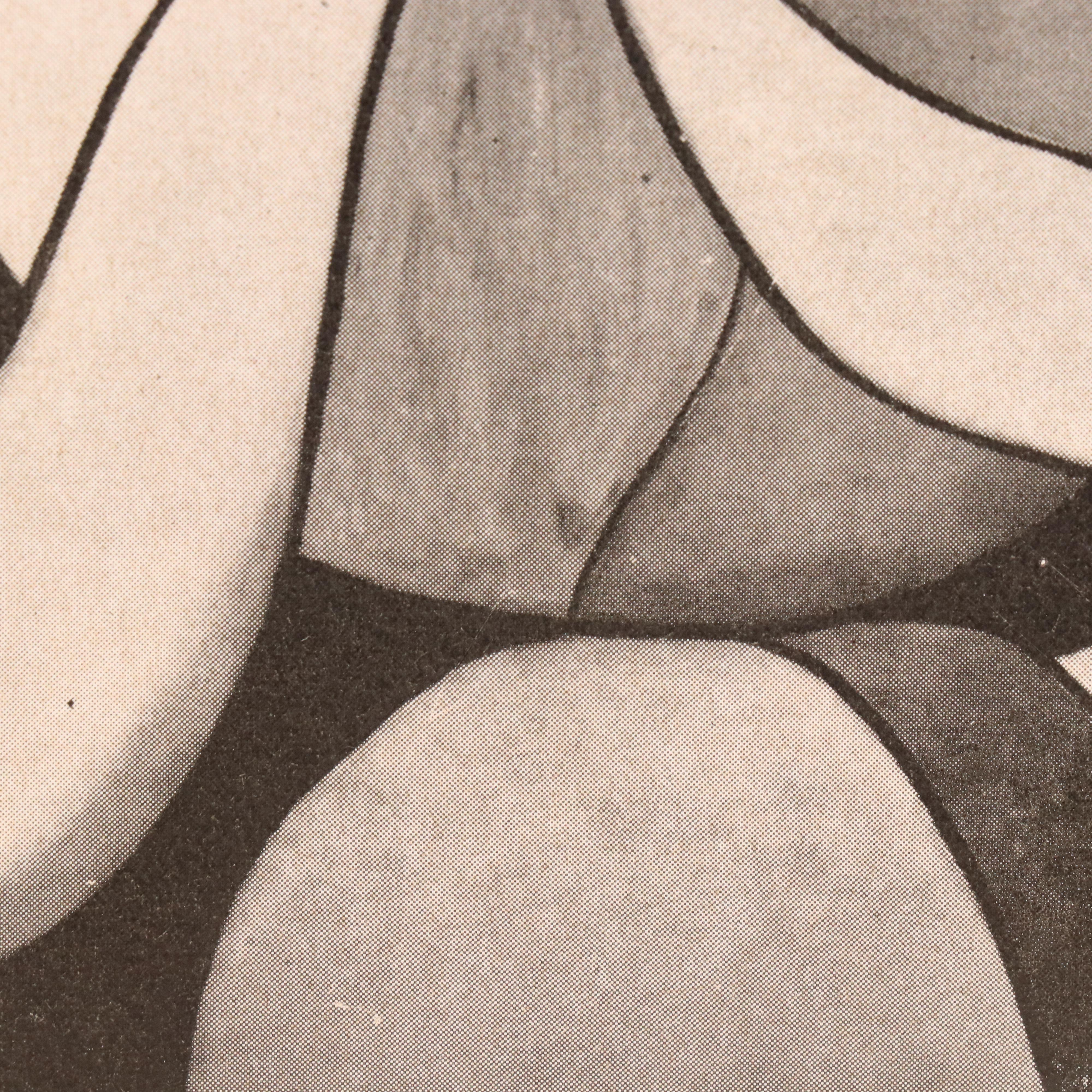 Halftone After Pablo Picasso "La Dame à la Fleur," Late 20th Century