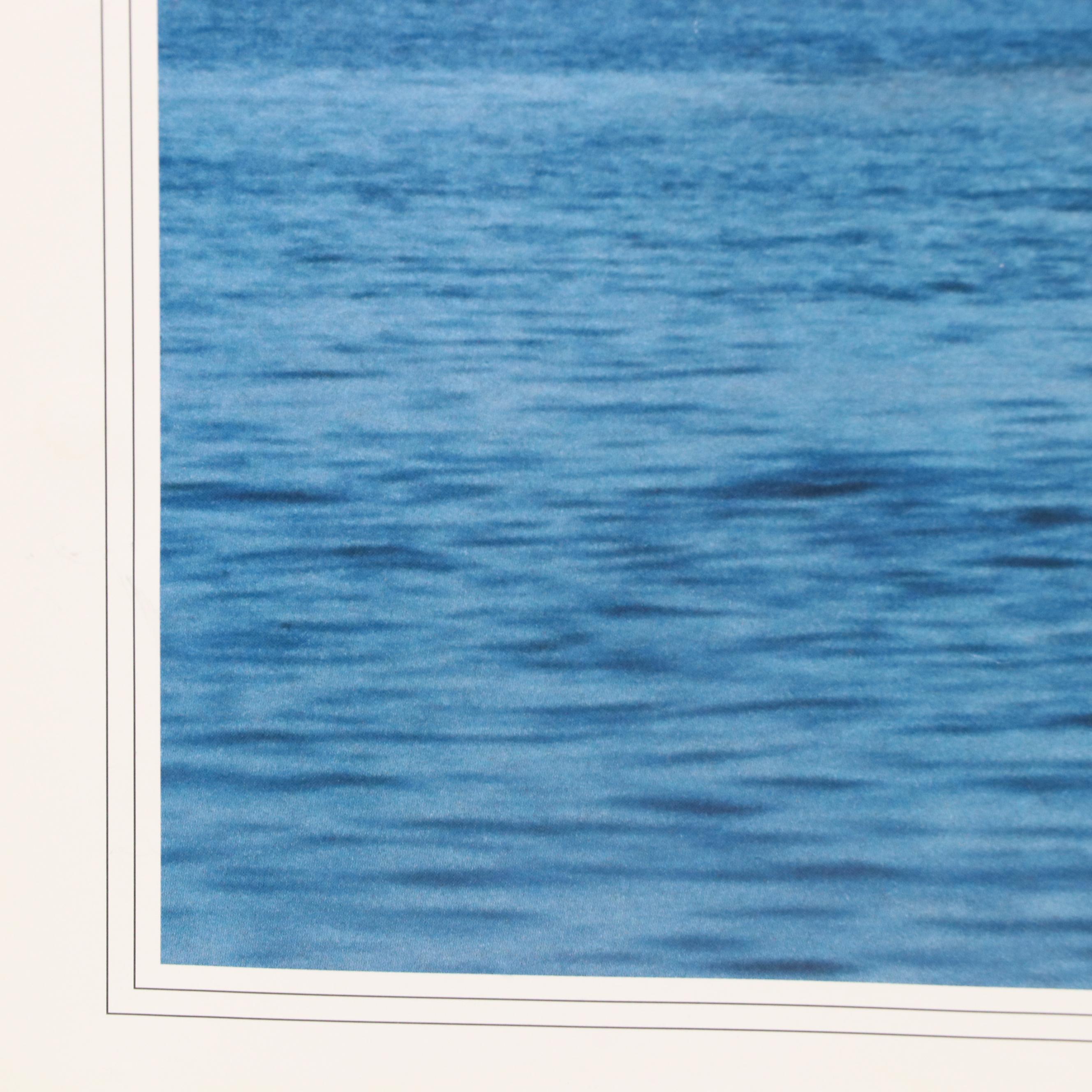 Offset Lithograph Poster of Steamboat "The American Queen"