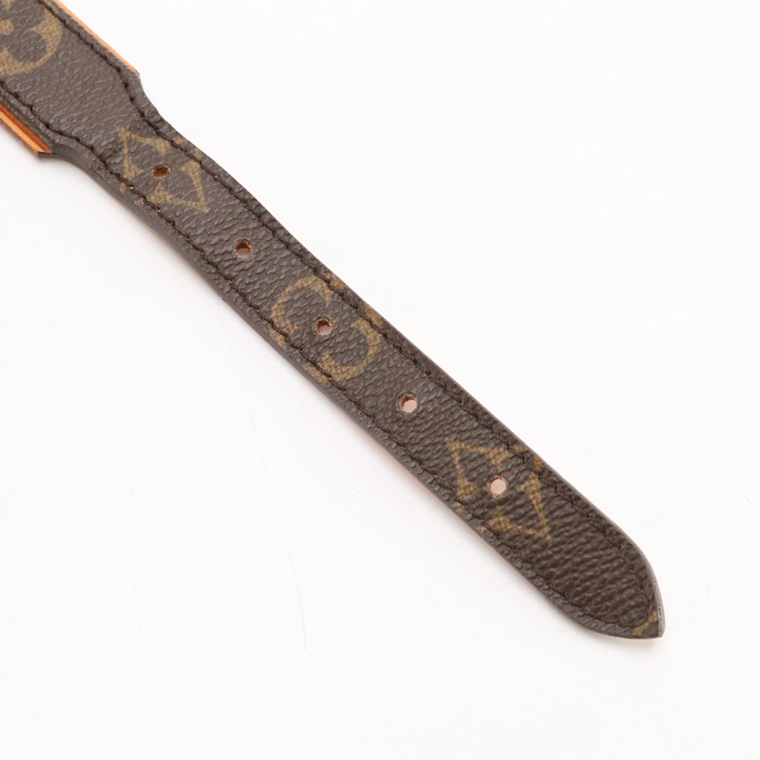 Louis Vuitton Baxter PM Pet Collar in Monogram Canvas and Vachetta Leather