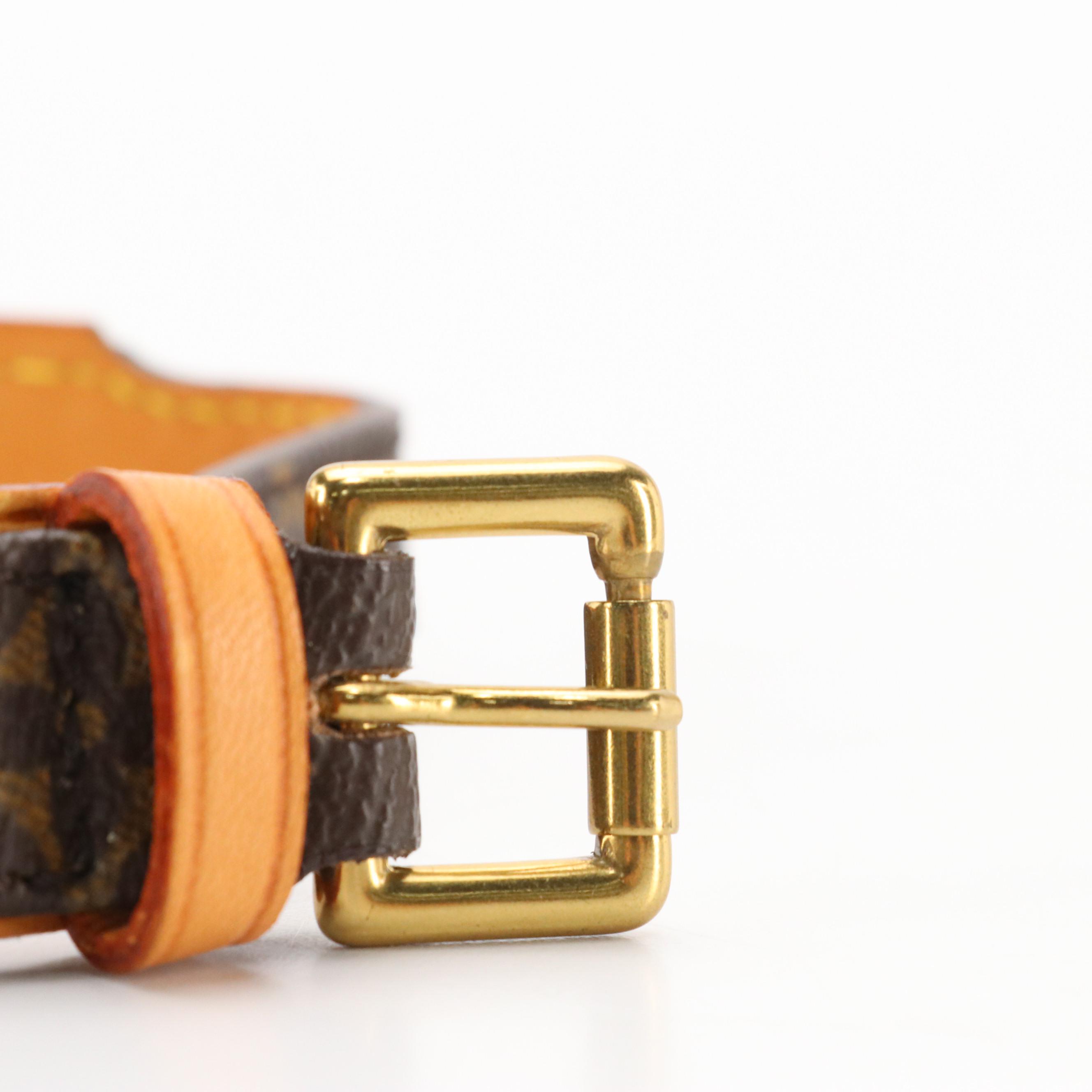 Louis Vuitton Baxter PM Pet Collar in Monogram Canvas and Vachetta Leather