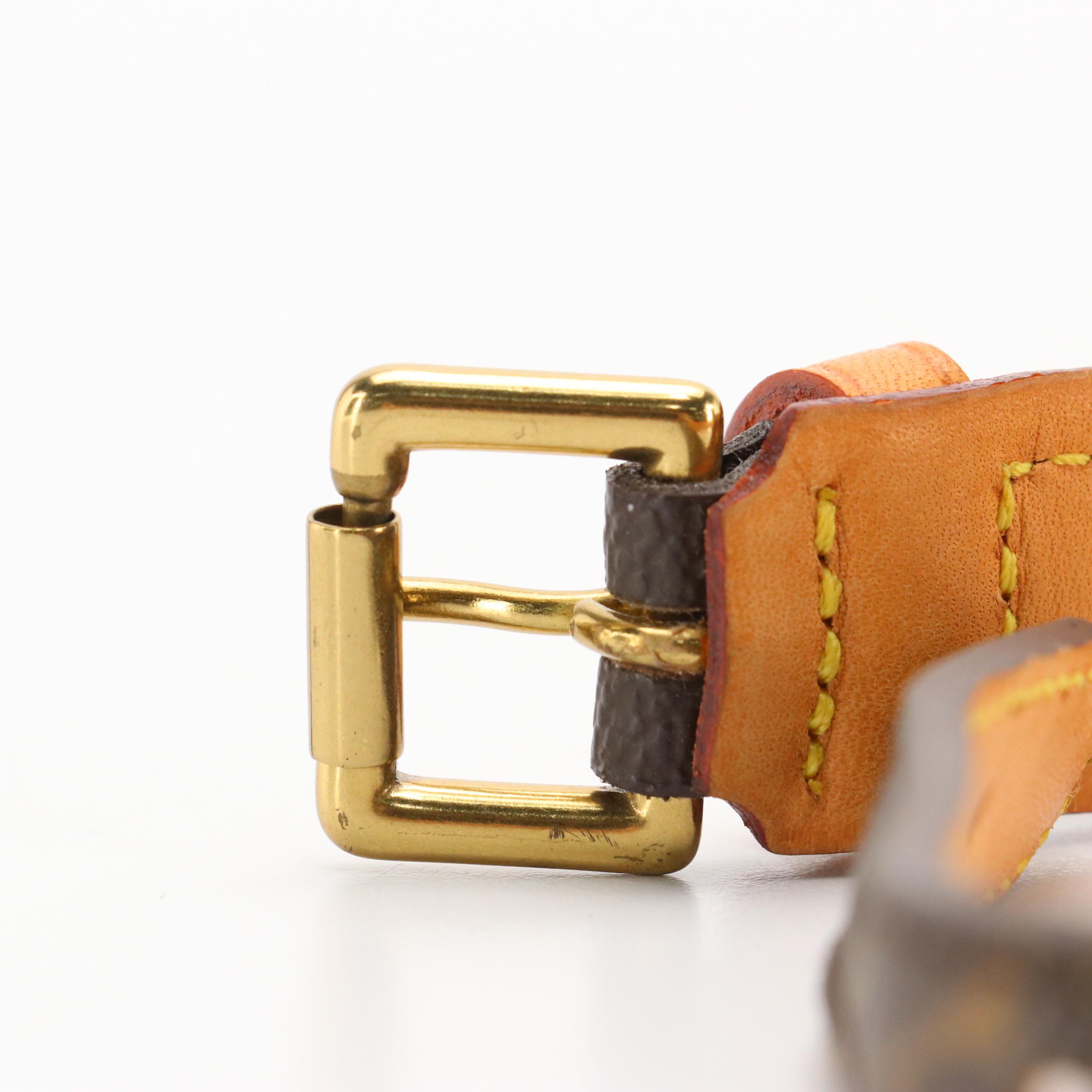 Louis Vuitton Baxter PM Pet Collar in Monogram Canvas and Vachetta Leather