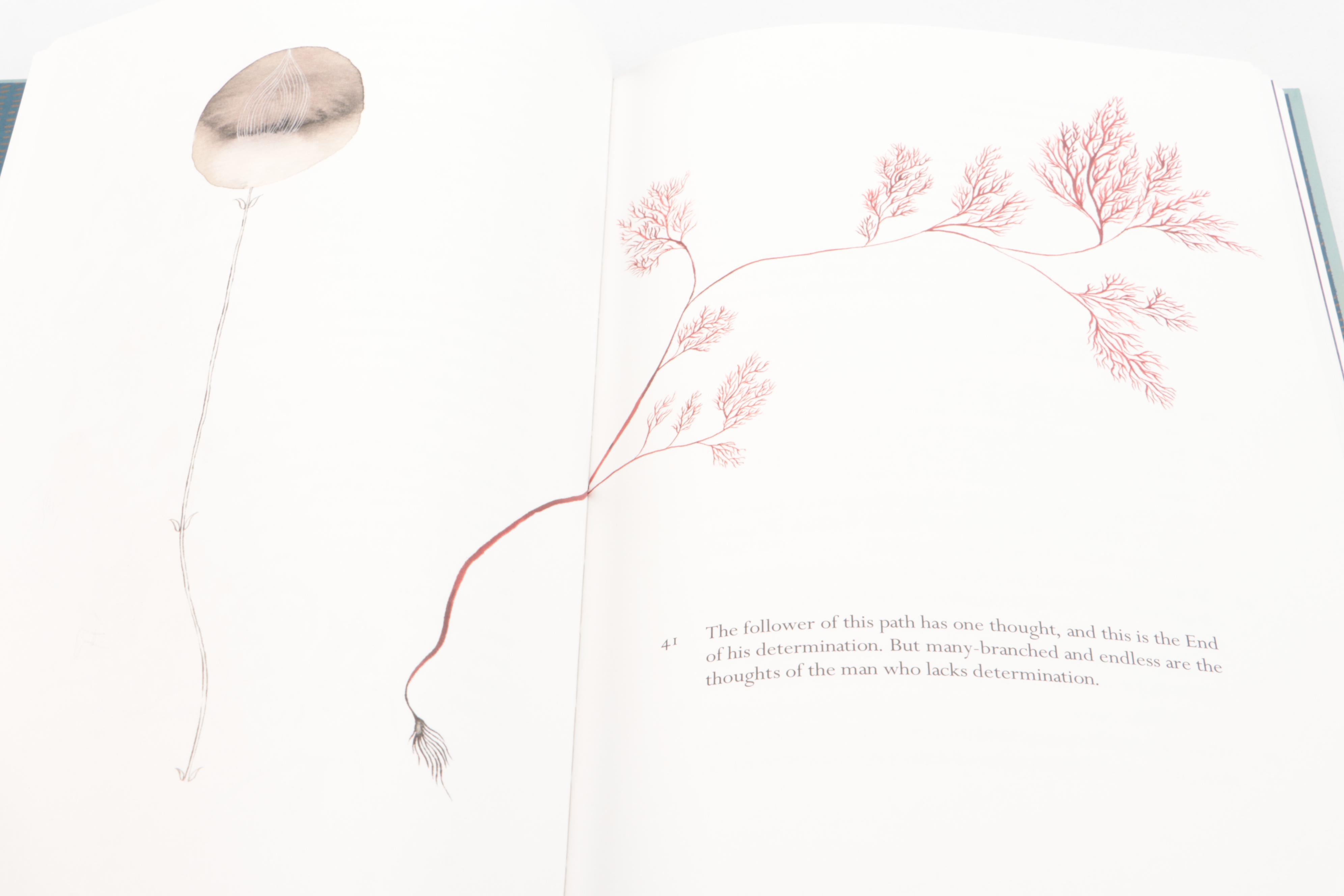 Folio Society "The Nile" Two-Volume Set by Alan Moorehead and More Books