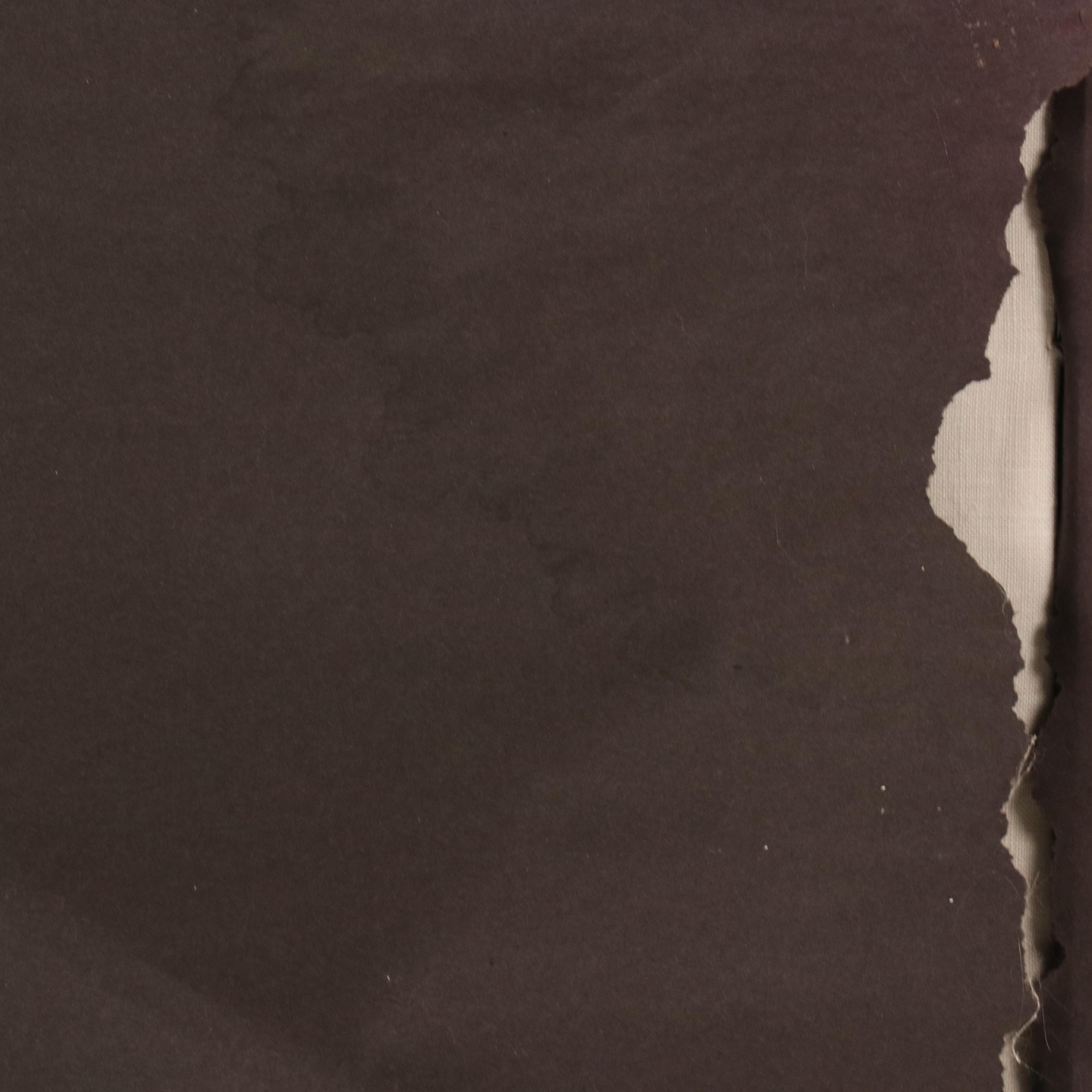 Kristen Myers Acrylic Painting of Anthropomorphic Cat, 2005