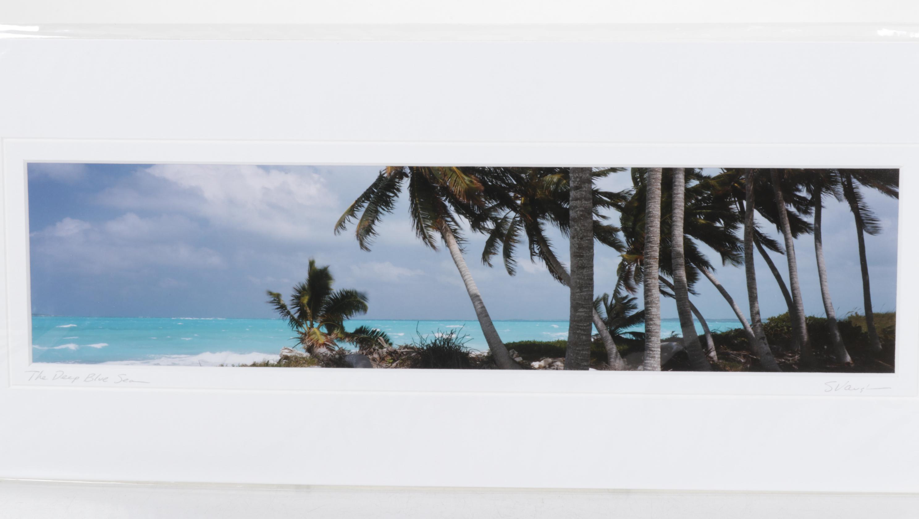 Steve Vaughn "The Deep Blue Sea" Panoramic Photograph, Late 20th Century