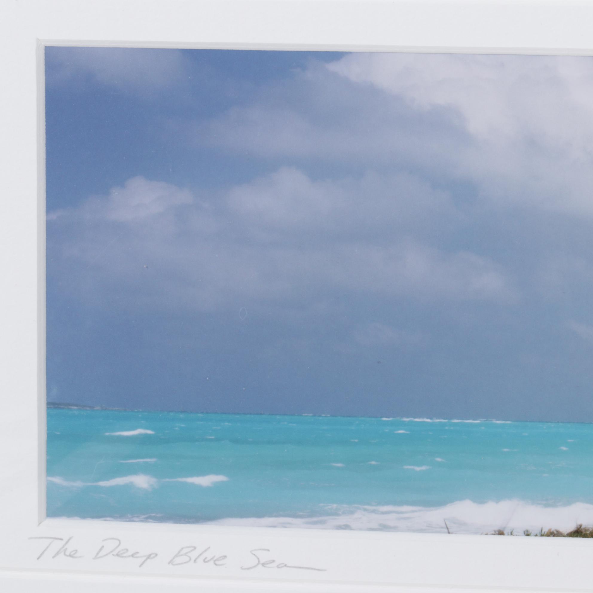 Steve Vaughn "The Deep Blue Sea" Panoramic Photograph, Late 20th Century