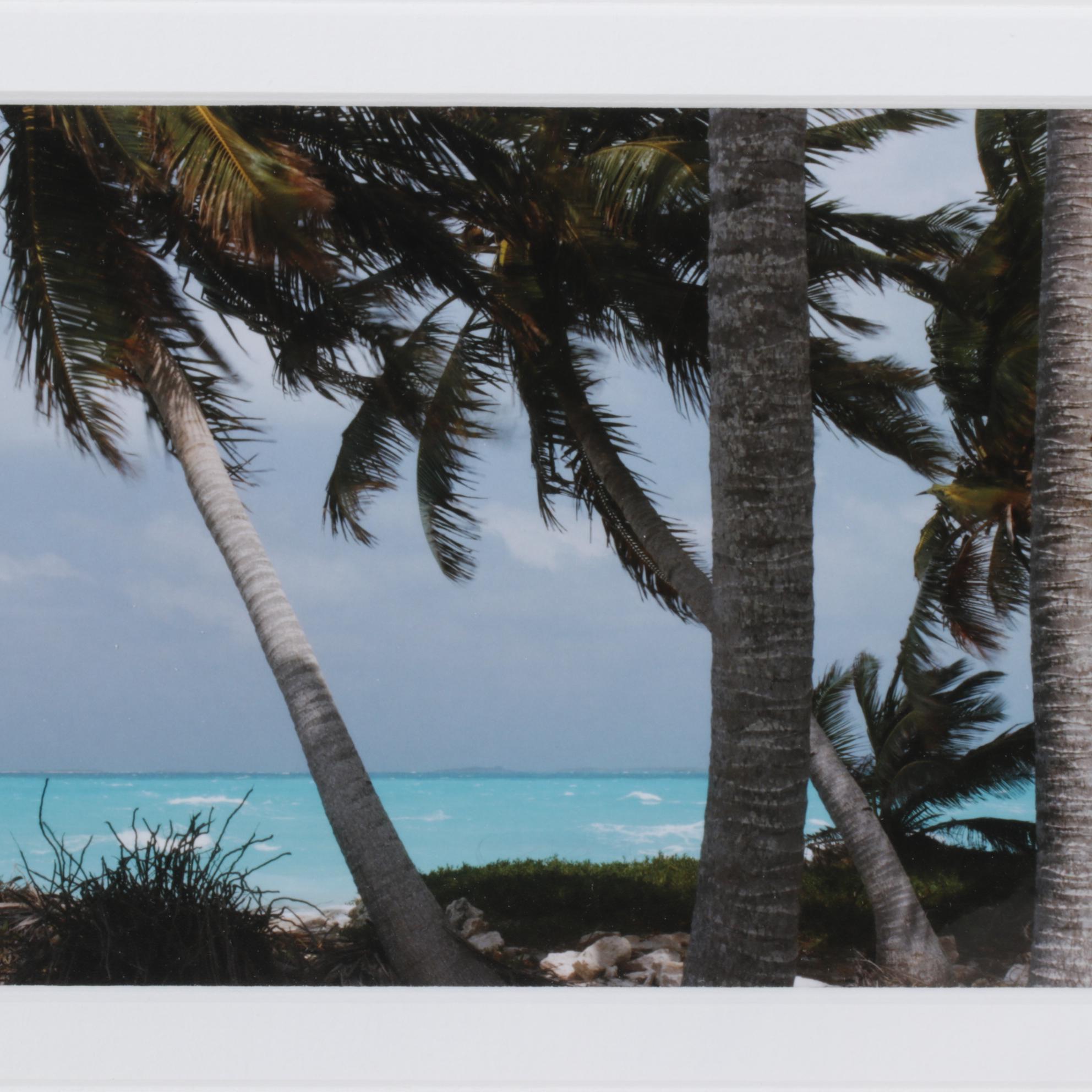 Steve Vaughn "The Deep Blue Sea" Panoramic Photograph, Late 20th Century