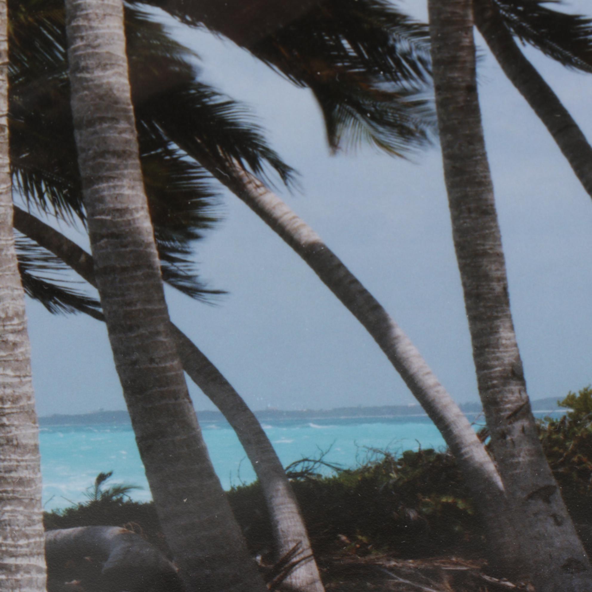 Steve Vaughn "The Deep Blue Sea" Panoramic Photograph, Late 20th Century