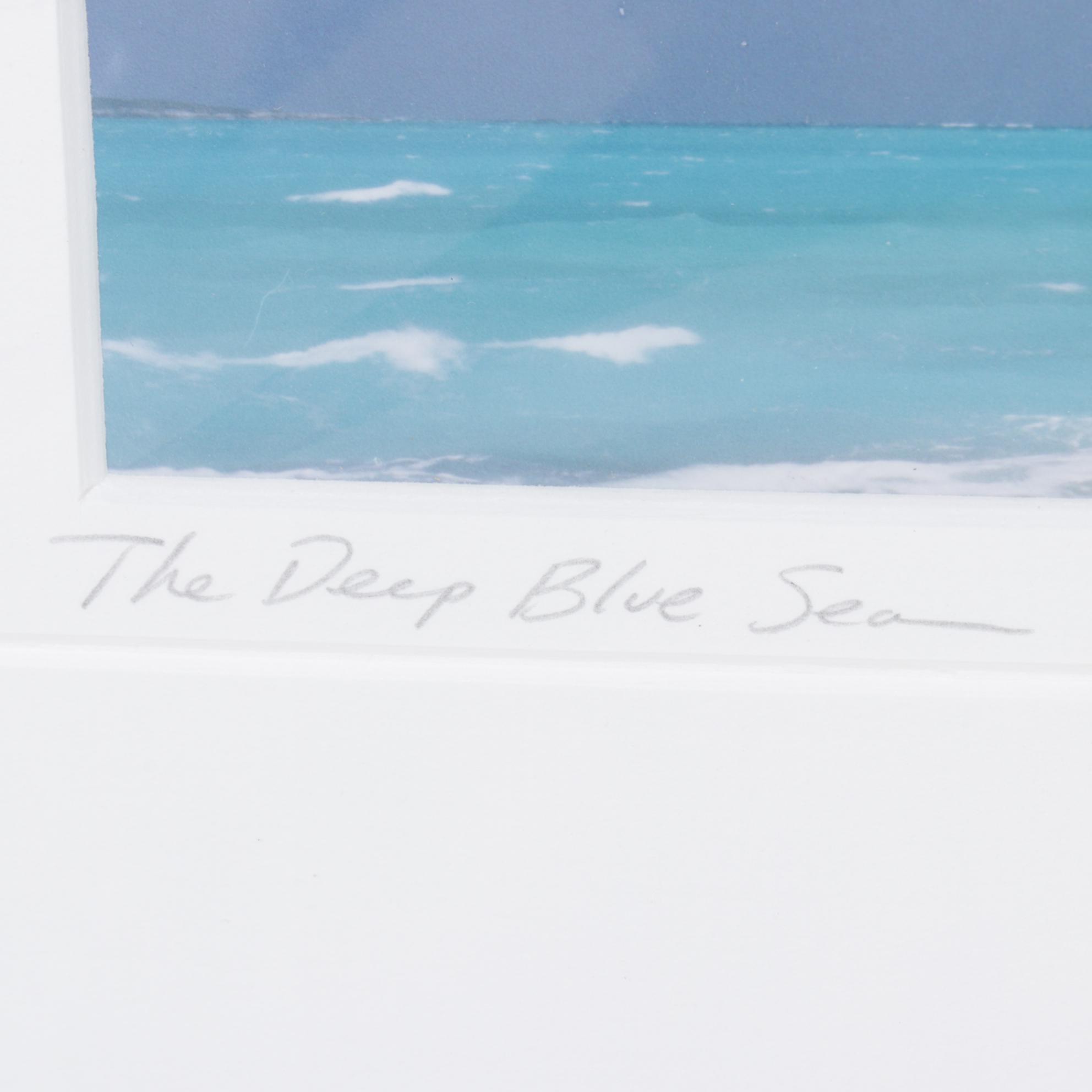 Steve Vaughn "The Deep Blue Sea" Panoramic Photograph, Late 20th Century