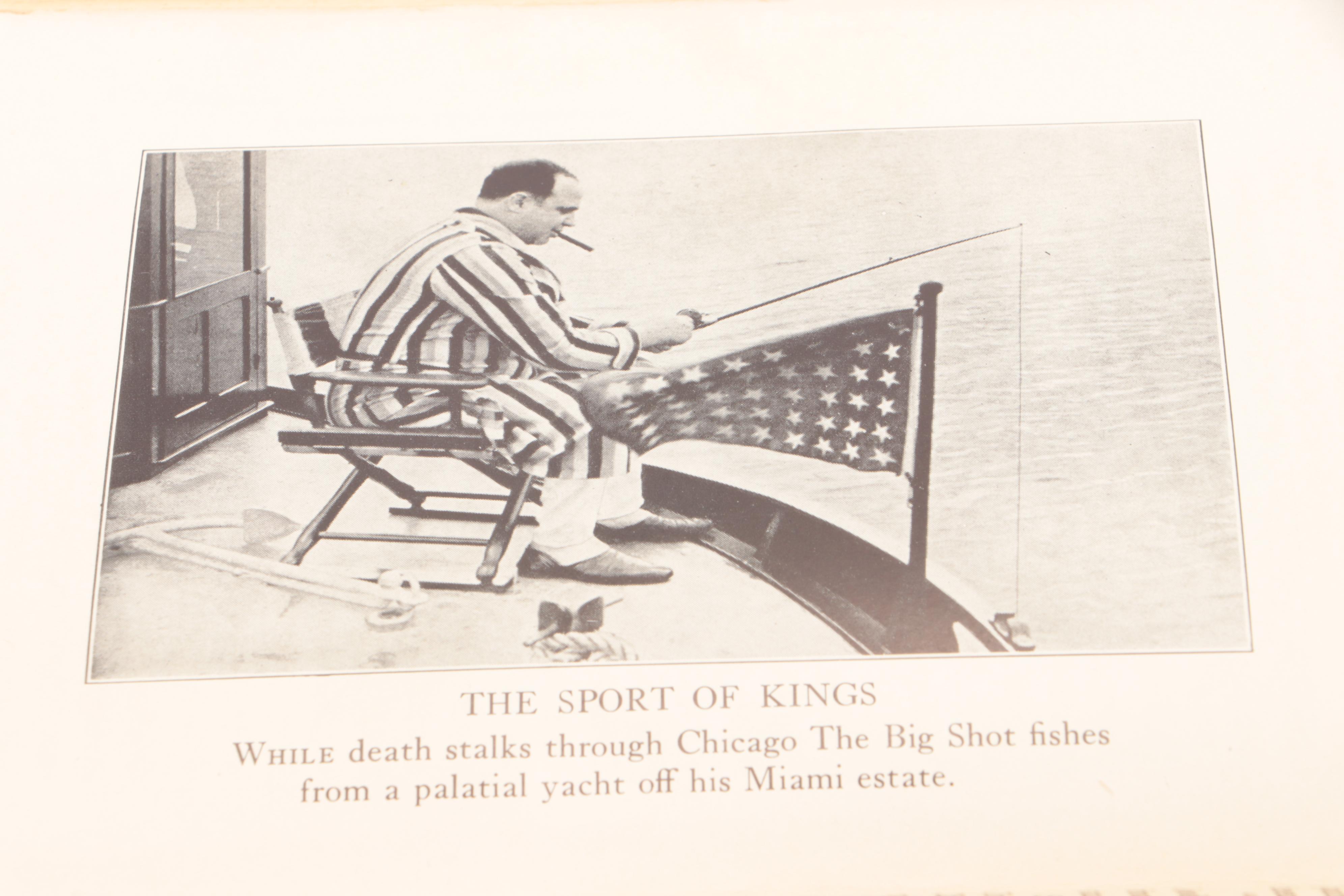 First Edition "Damnation Island" by Stacy Horn and More Nonfiction Books