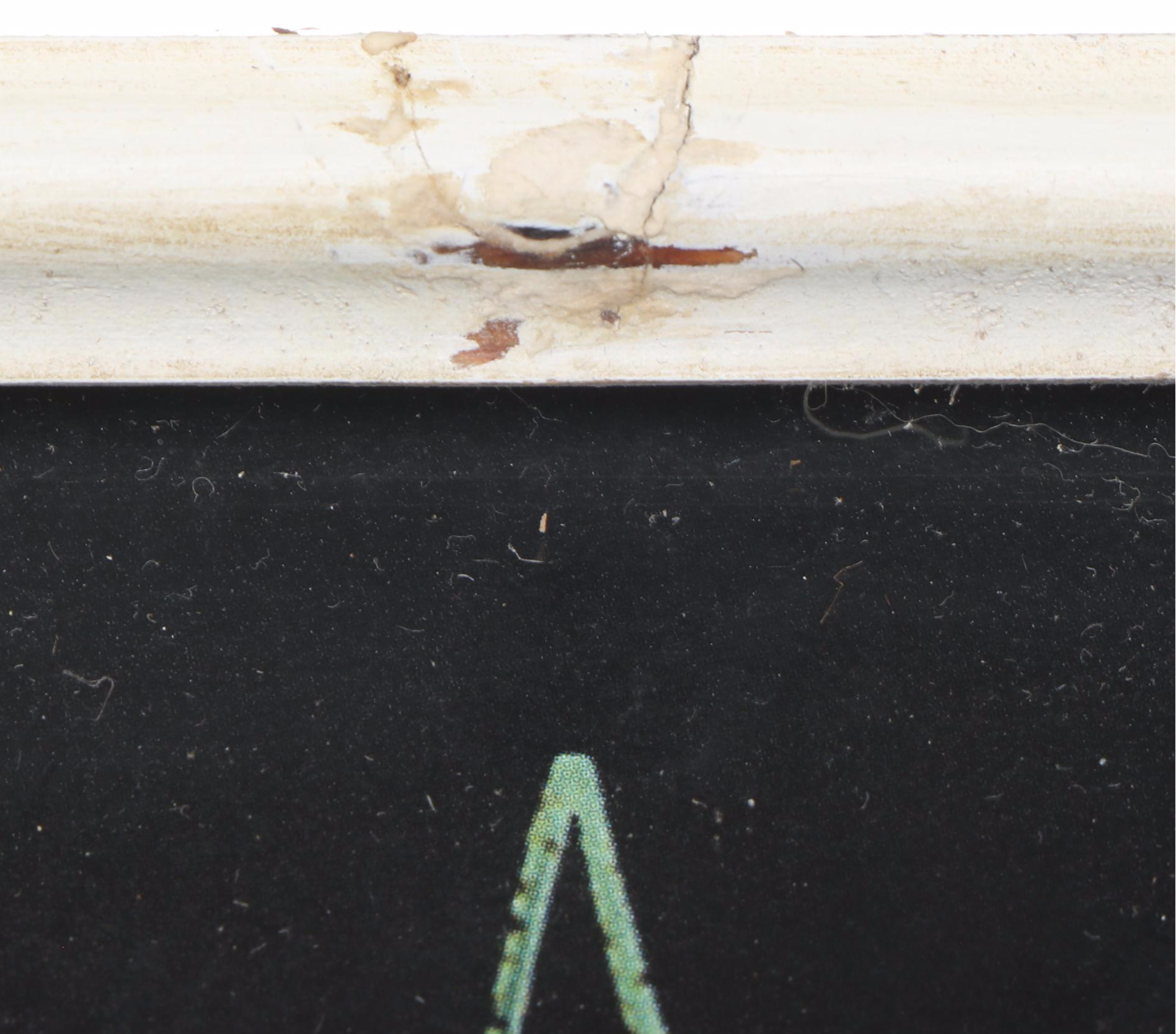 Wood Framed Mirrors with Foliage Art