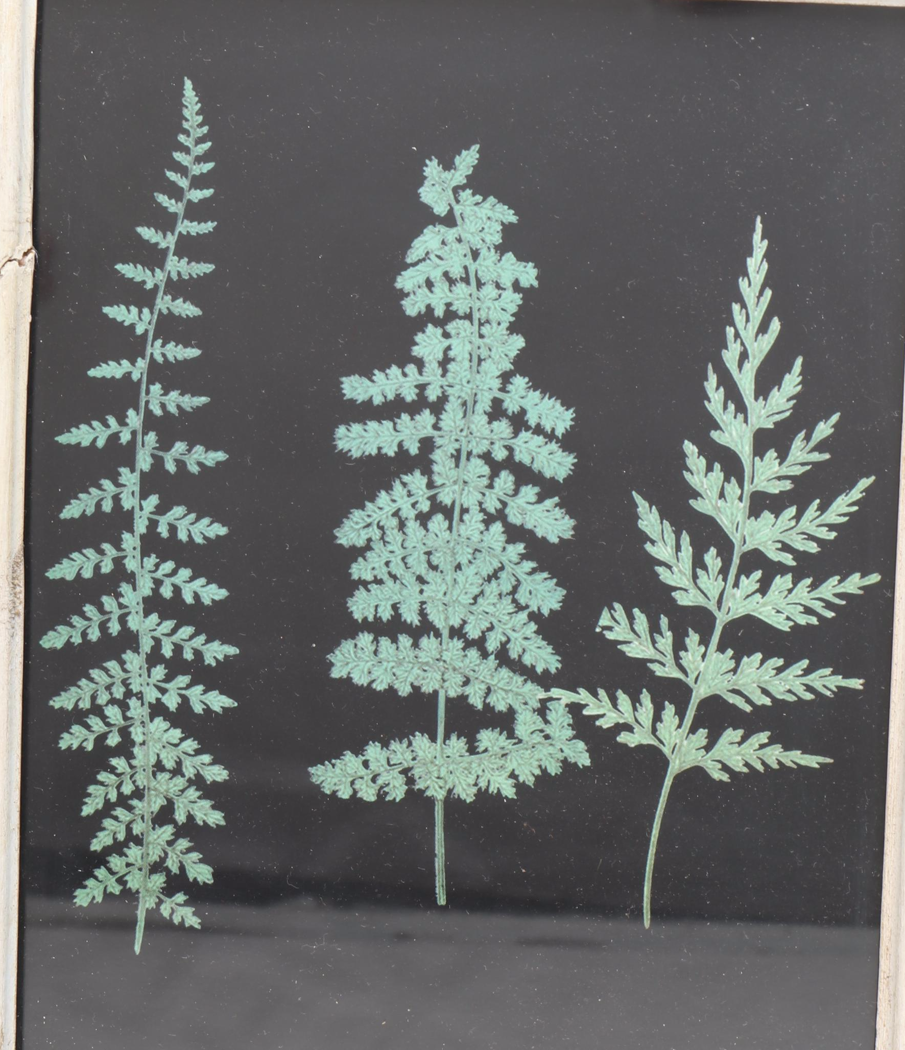 Wood Framed Mirrors with Foliage Art