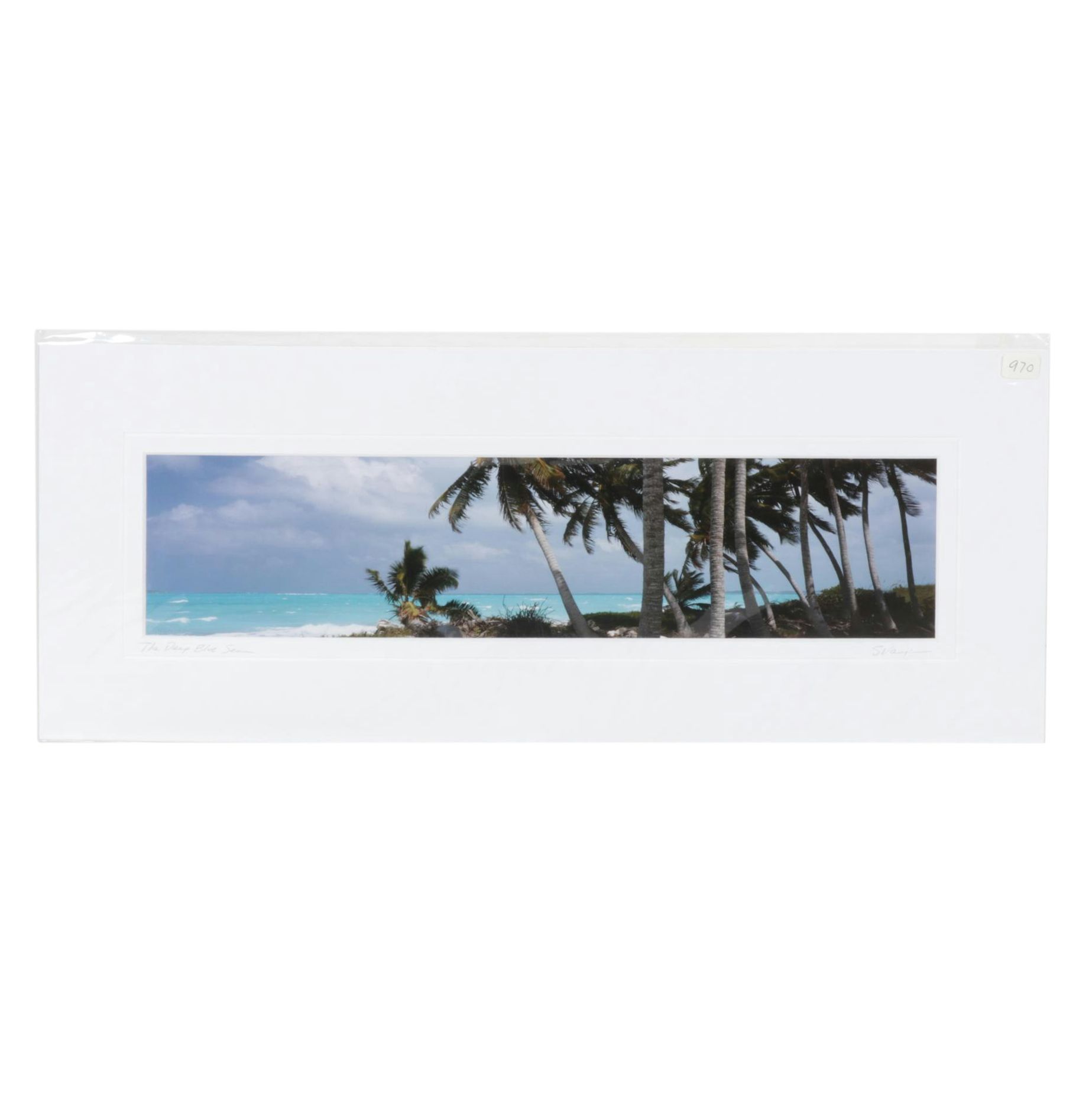 Steve Vaughn "The Deep Blue Sea" Panoramic Photograph, Late 20th Century