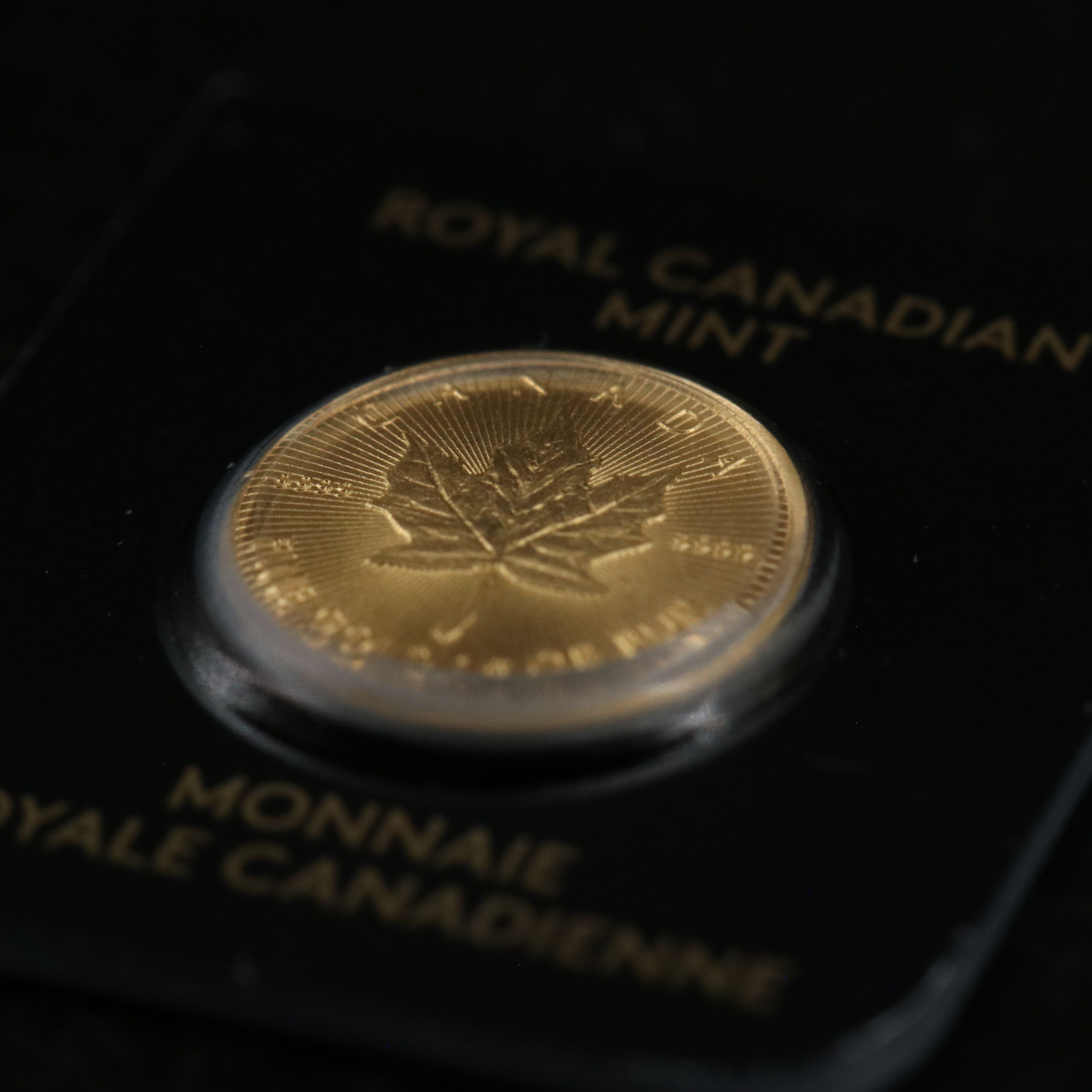 Canada 2023 One Gram Pure Gold Coin