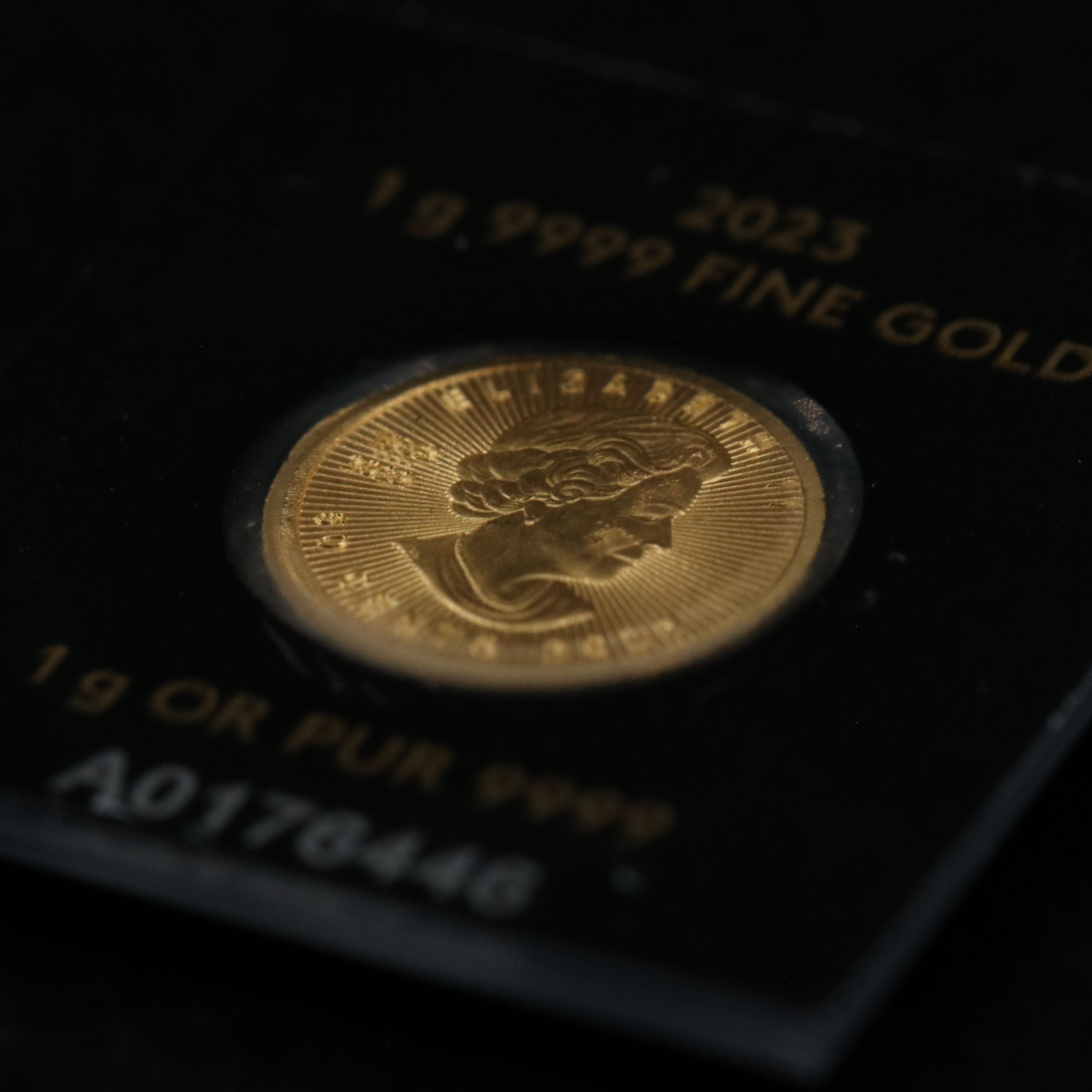 Canada 2023 One Gram Pure Gold Coin