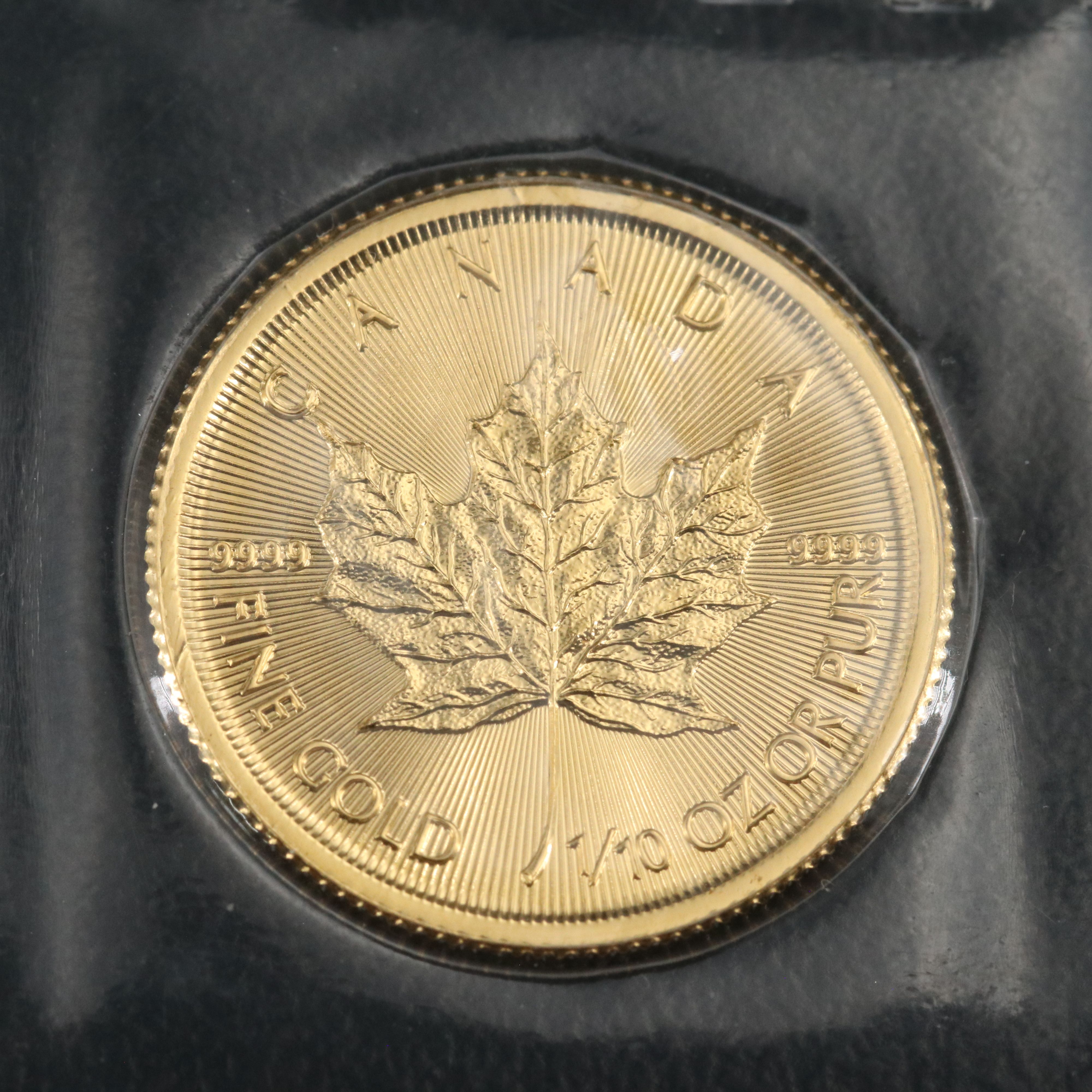 Canada 2019 Five Dollar, One Tenth Ounce Pure Gold Coin