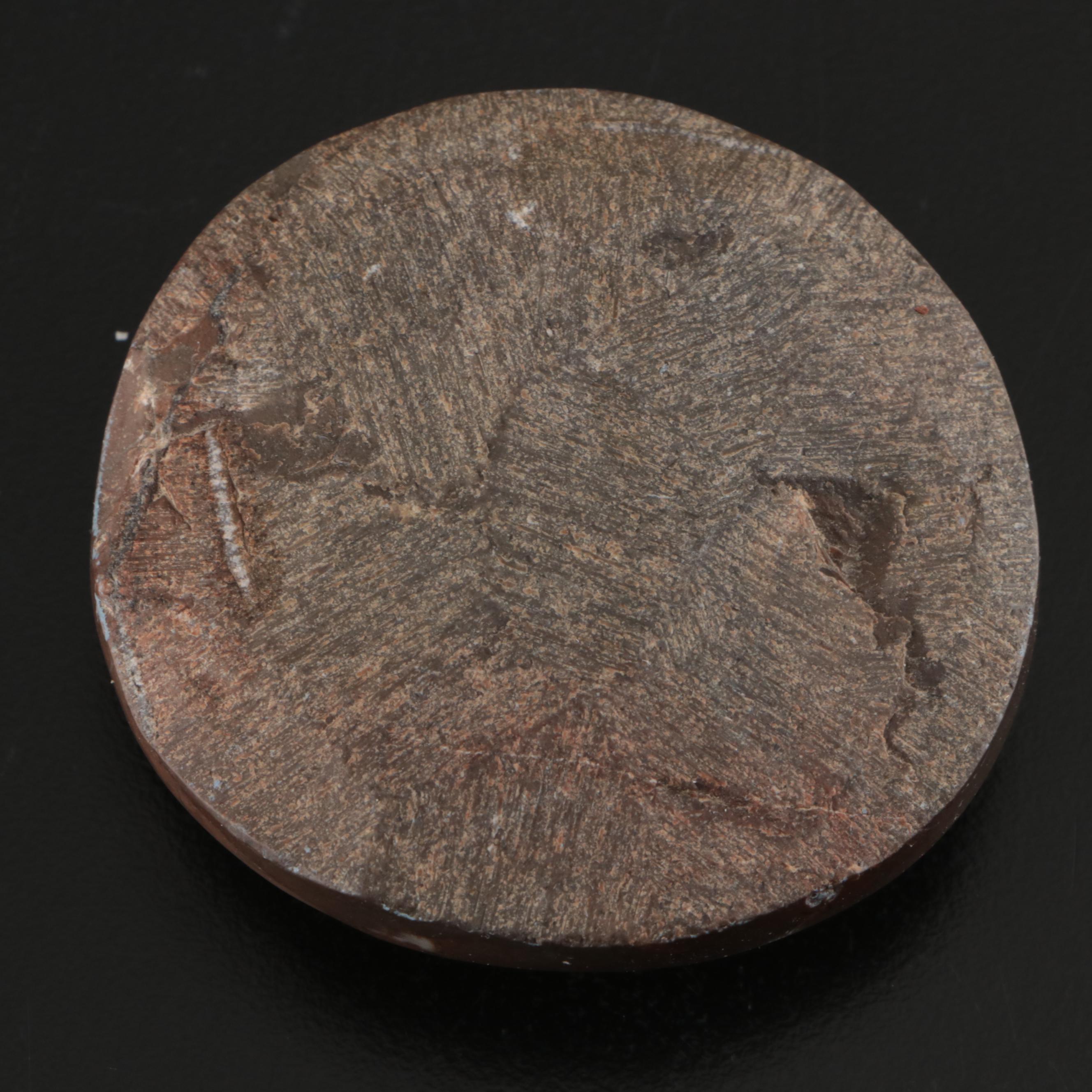 Abalone Shells, Bullmouth Helmet Shells, Carved Cameo Cowries, More